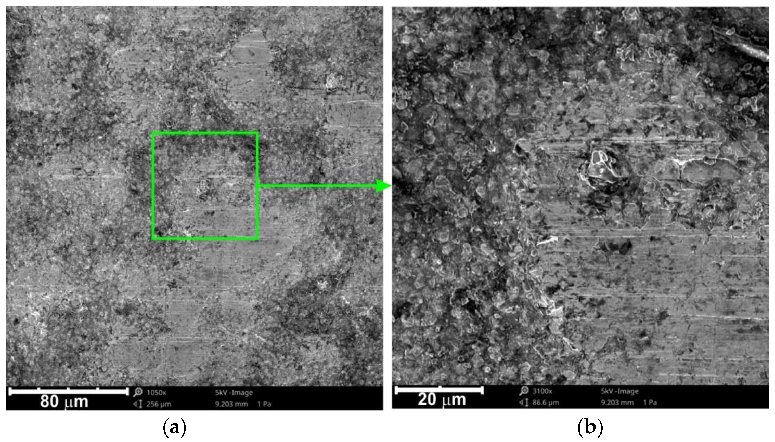 Lubricants 10 00099 g009