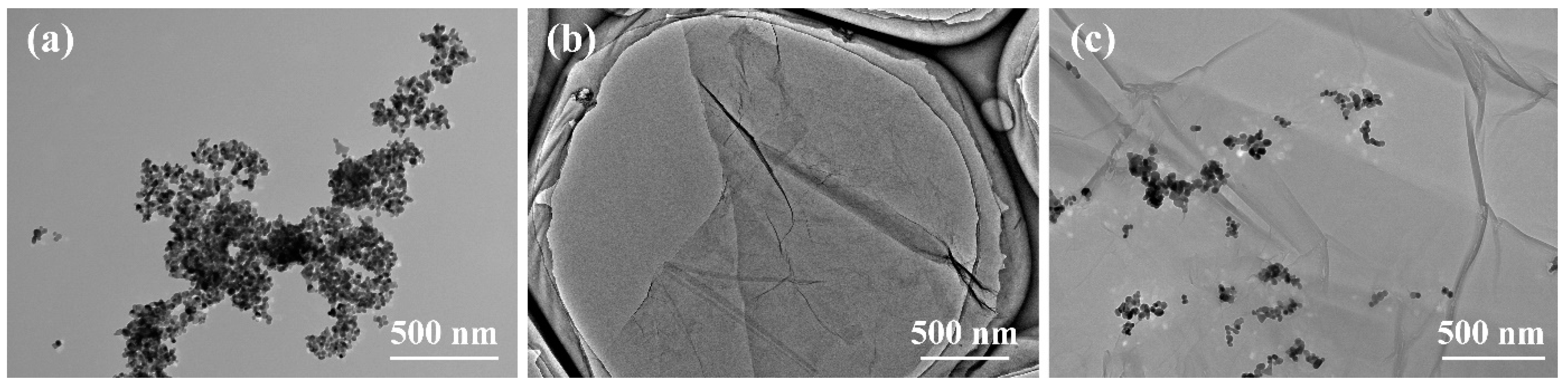 Lubricants 10 00109 g001 550