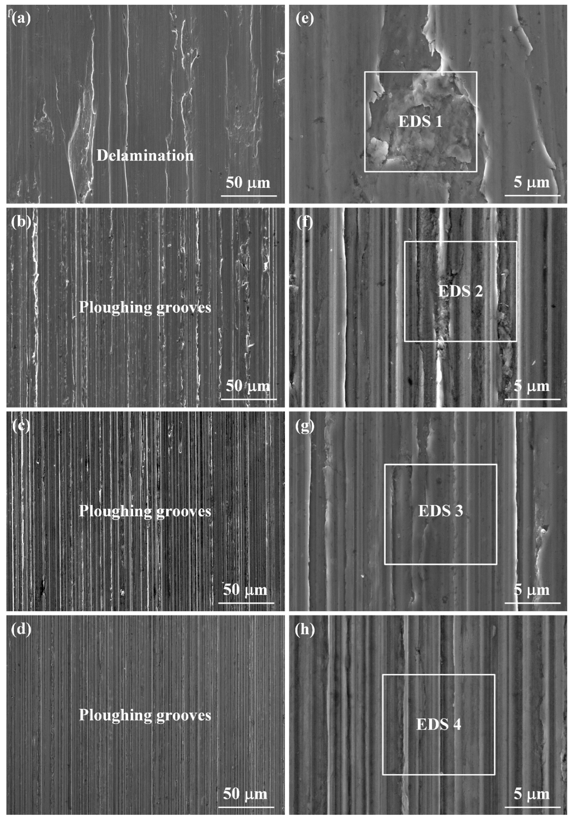 Lubricants 10 00109 g007 550