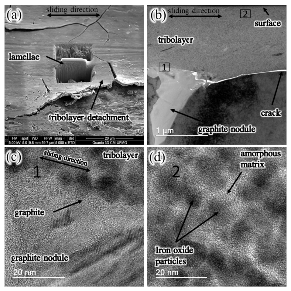 Lubricants 10 00112 g014 550