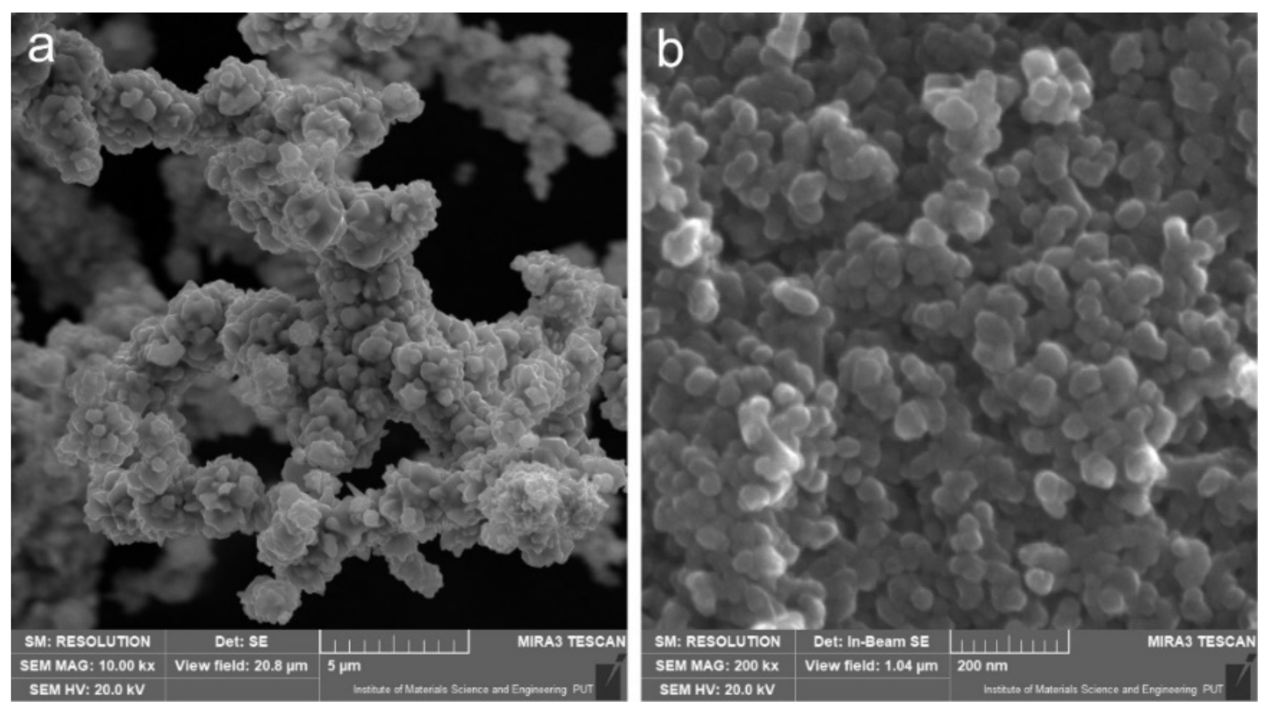 Lubricants 10 00120 g001 550