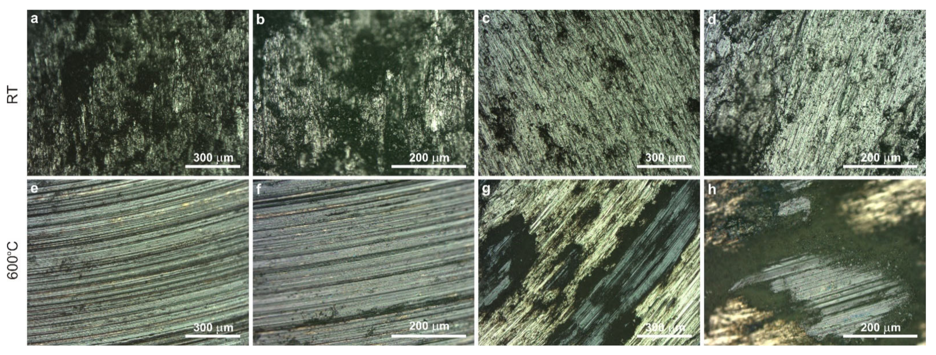 Lubricants 10 00120 g006 550