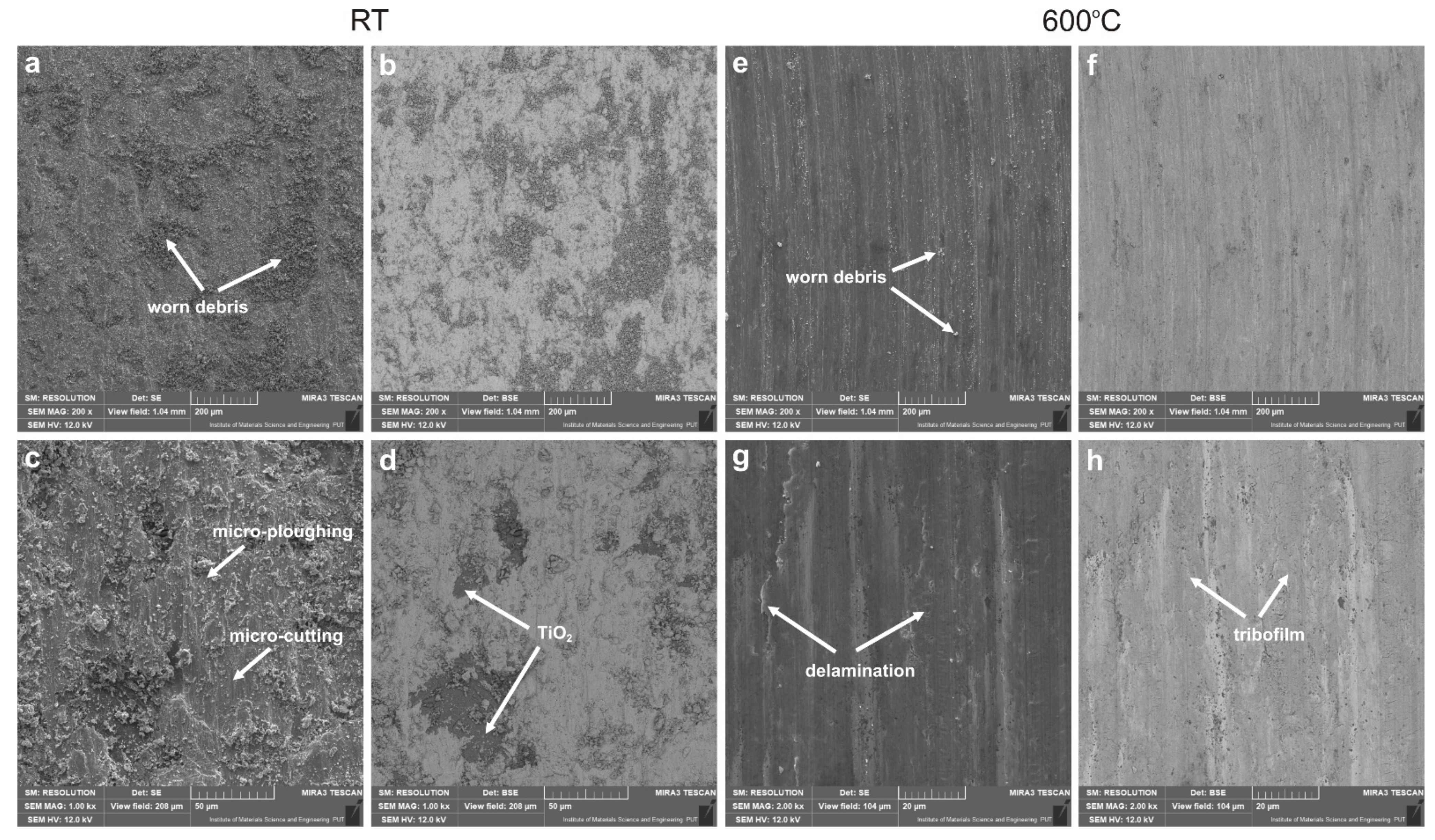 Lubricants 10 00120 g007 550
