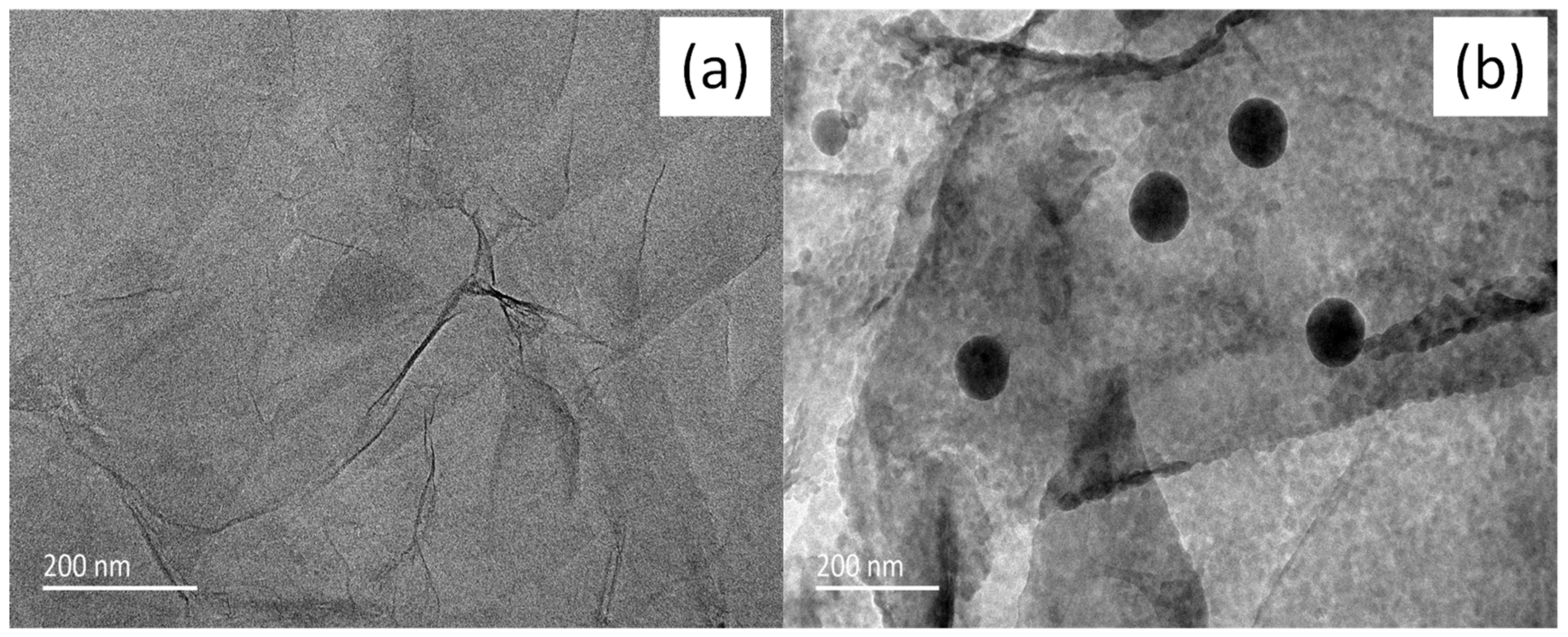 Lubricants 10 00125 g002
