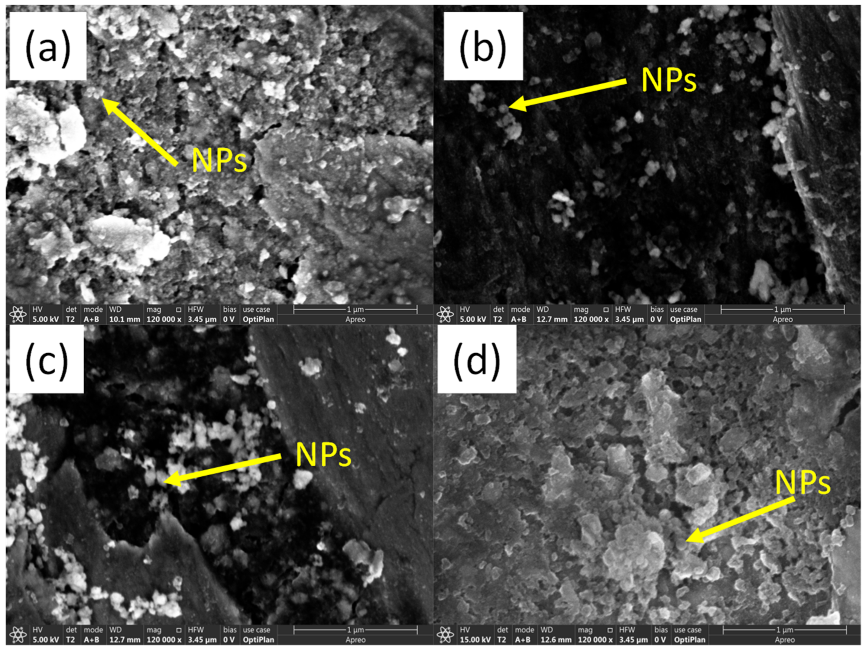 Lubricants 10 00125 g010