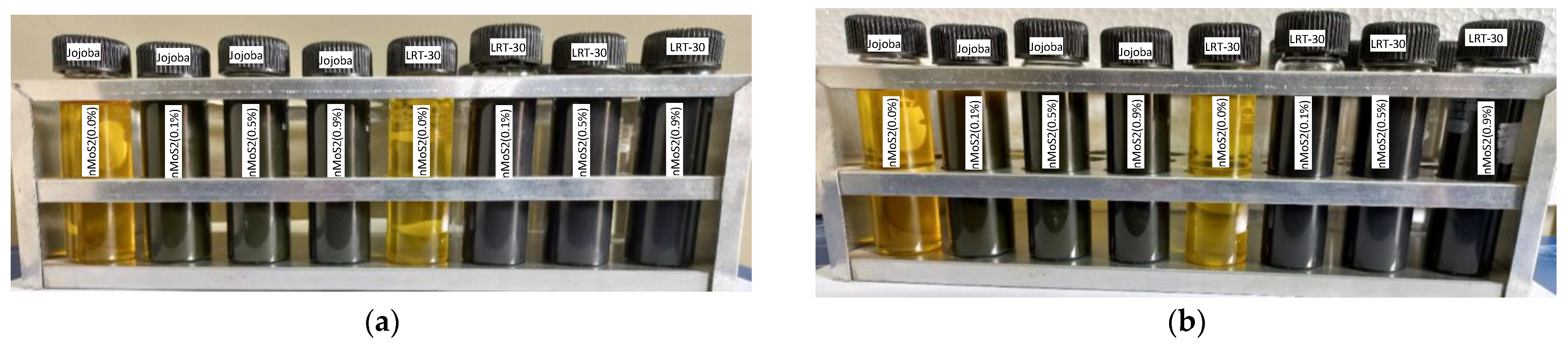 Lubricants 10 00126 g003a 550