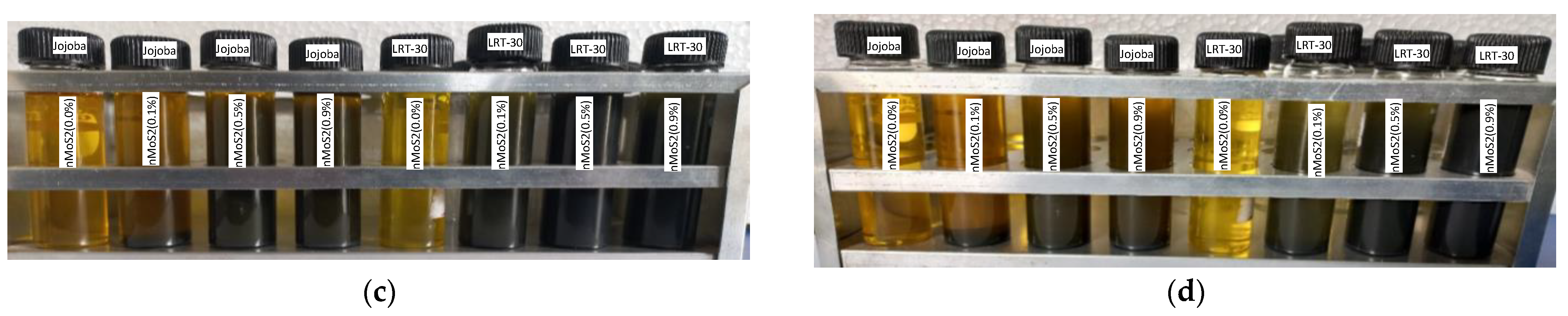 Lubricants 10 00126 g003b 550