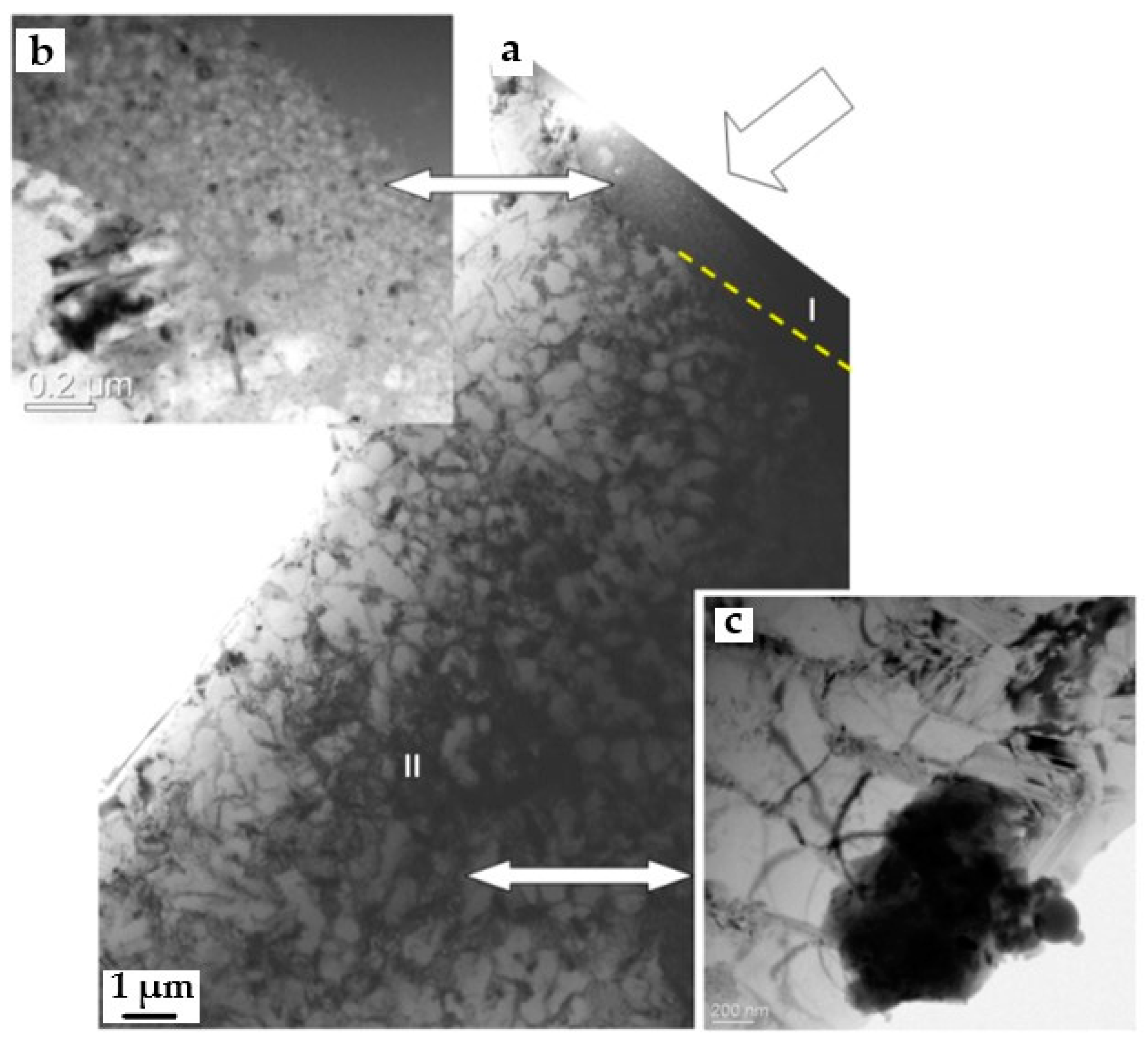 Lubricants 10 00133 g001 550