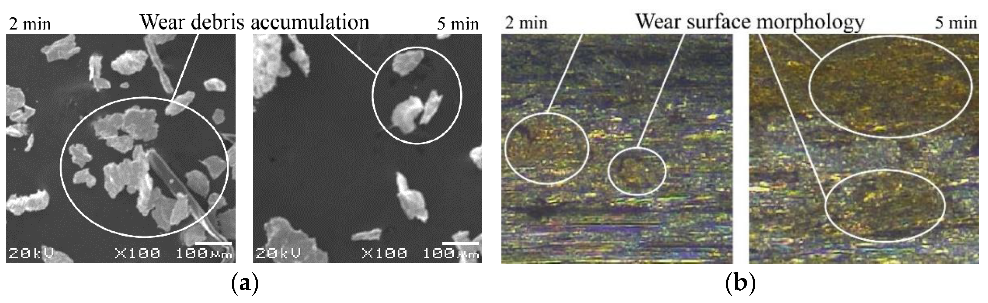 Lubricants 10 00136 g015