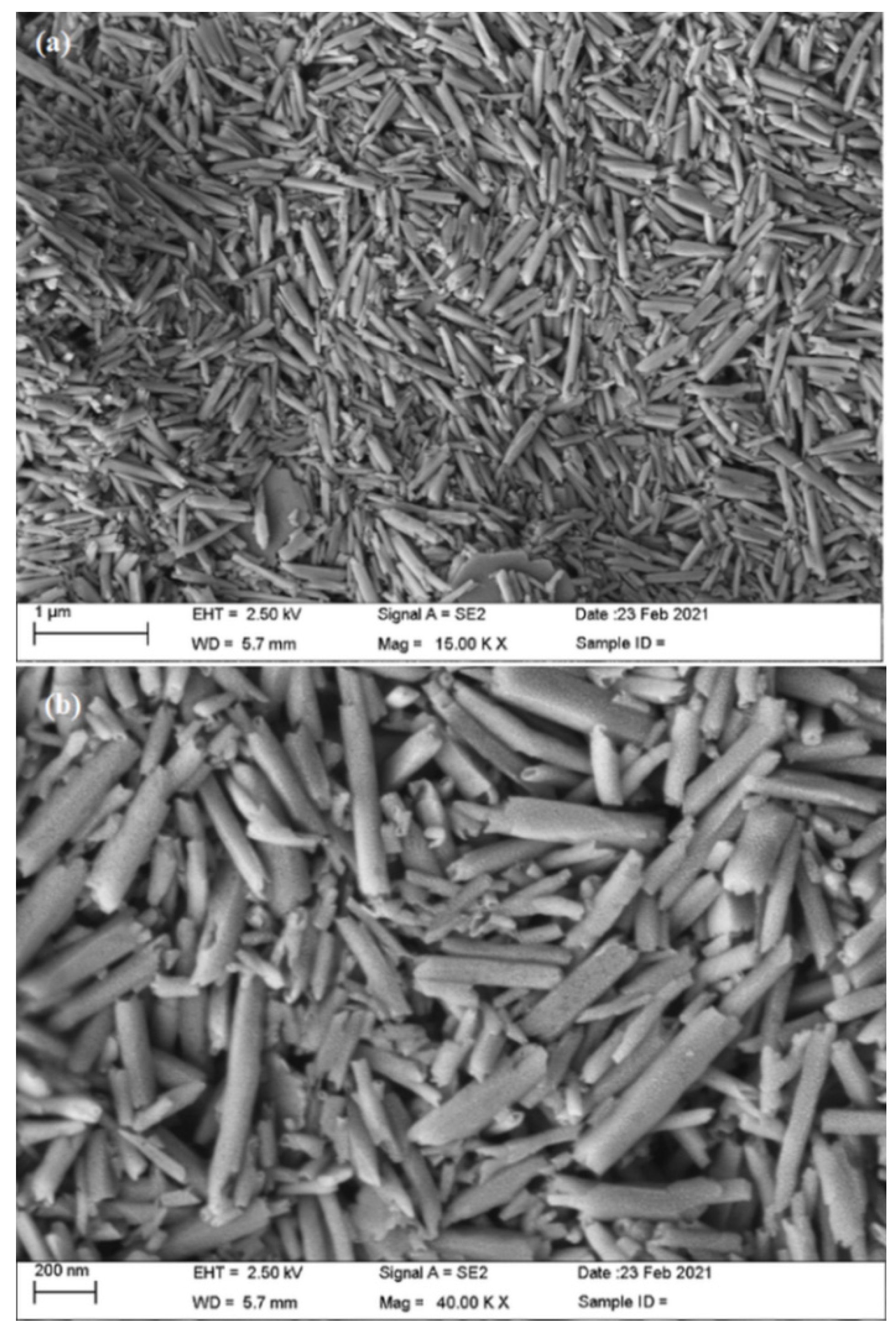 Lubricants 10 00139 g001 550