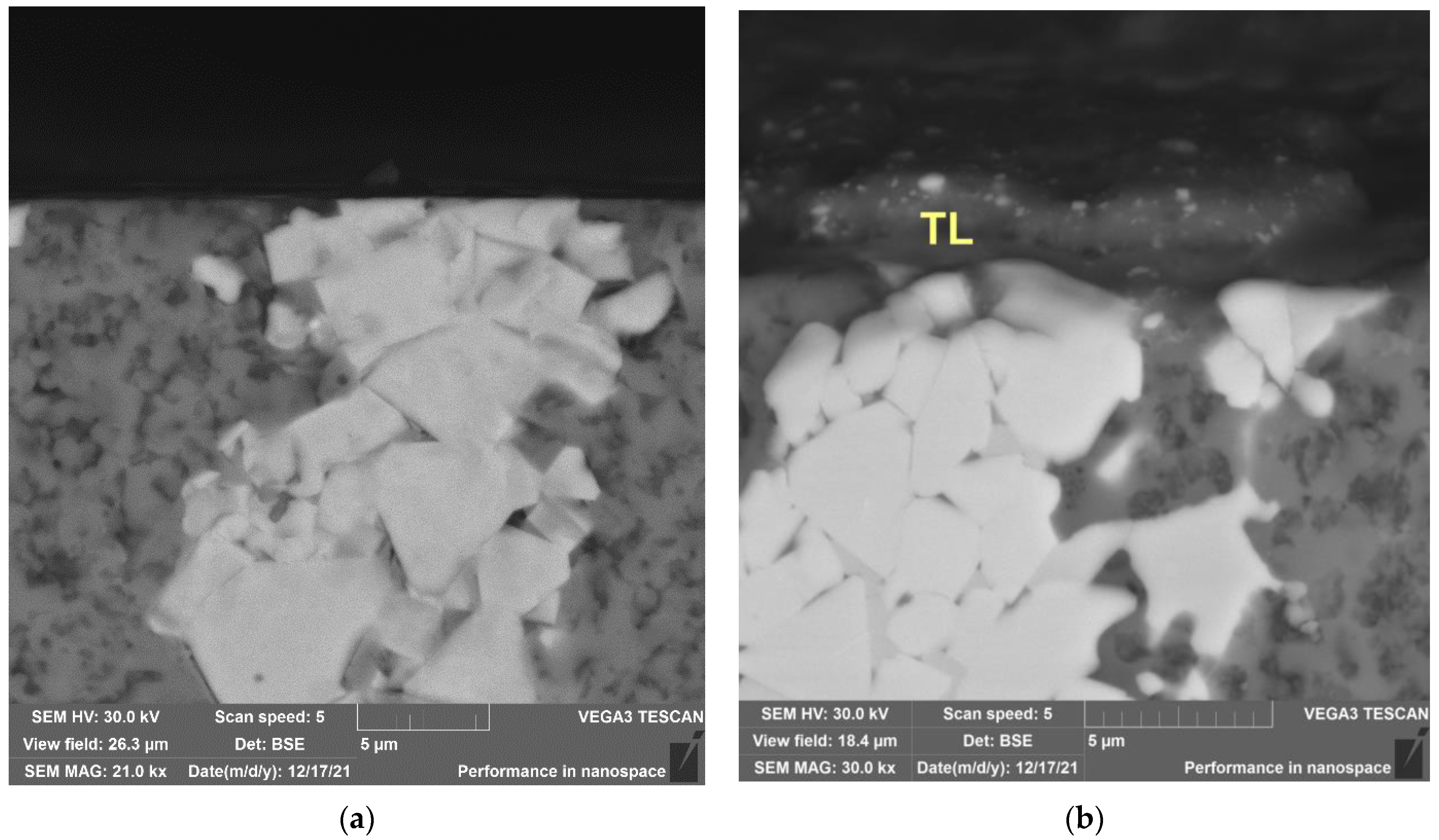 Lubricants 10 00140 g017a 550
