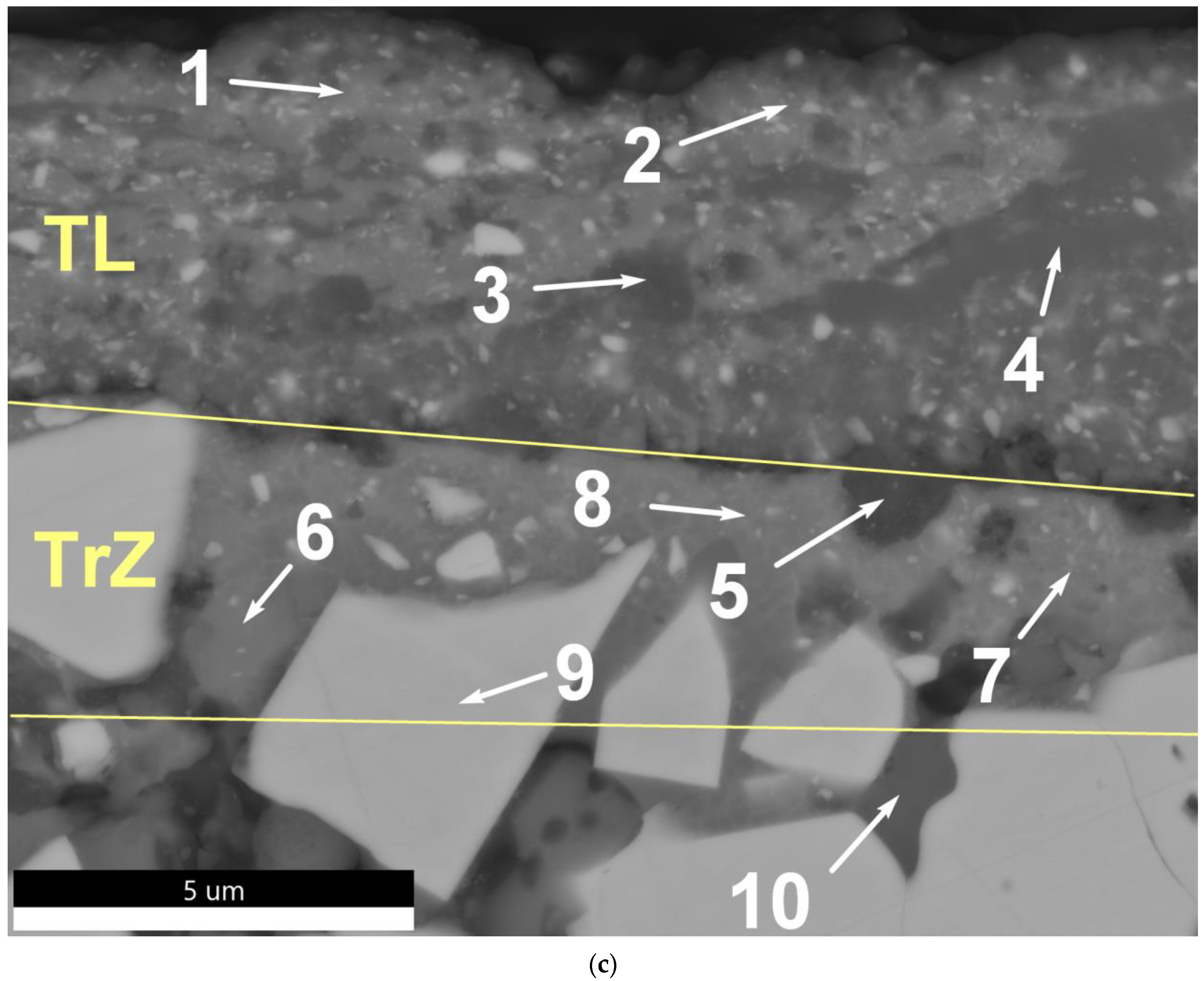 Lubricants 10 00140 g017b 550