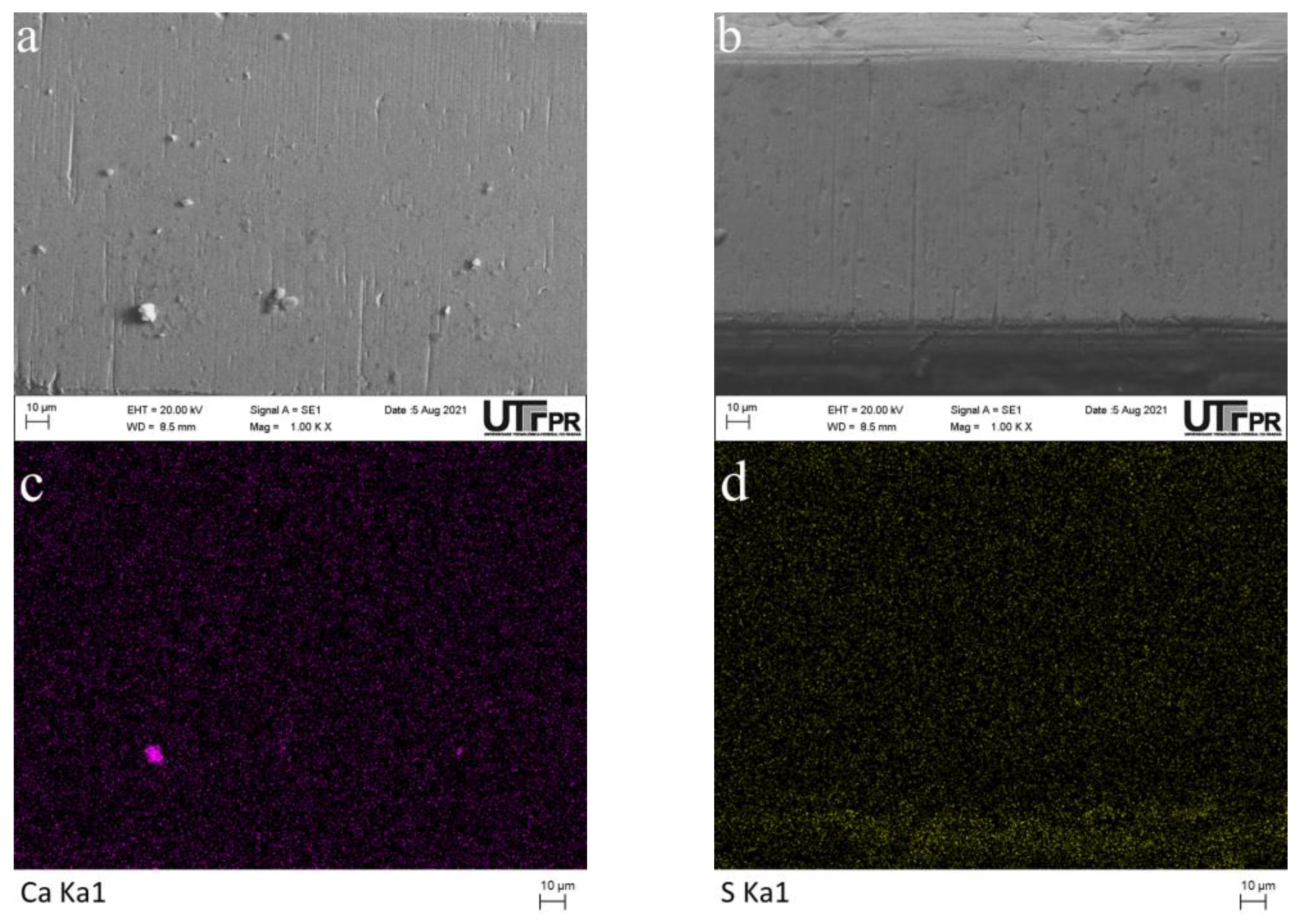 Lubricants 10 00143 g006