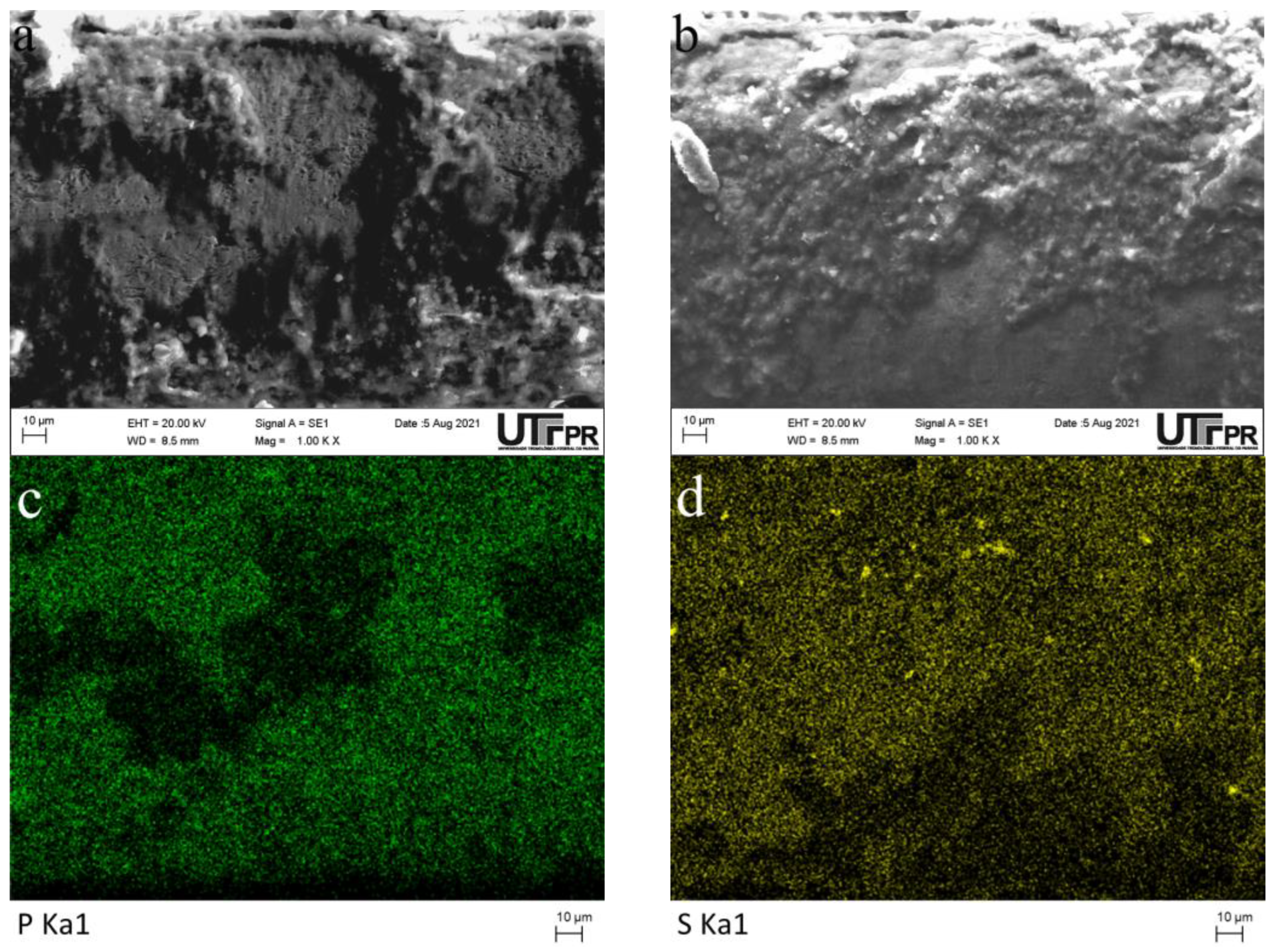 Lubricants 10 00143 g007