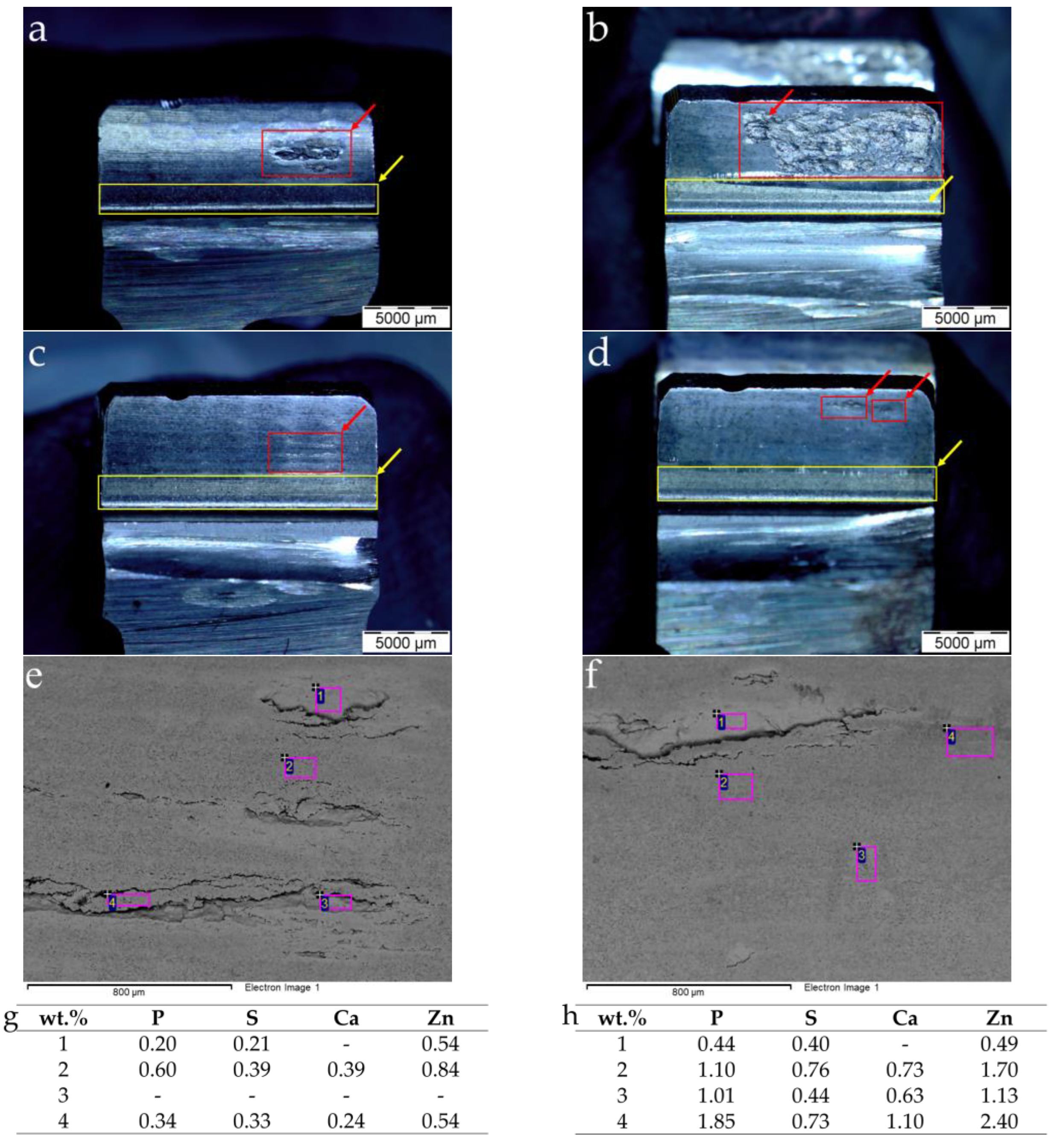 Lubricants 10 00143 g010
