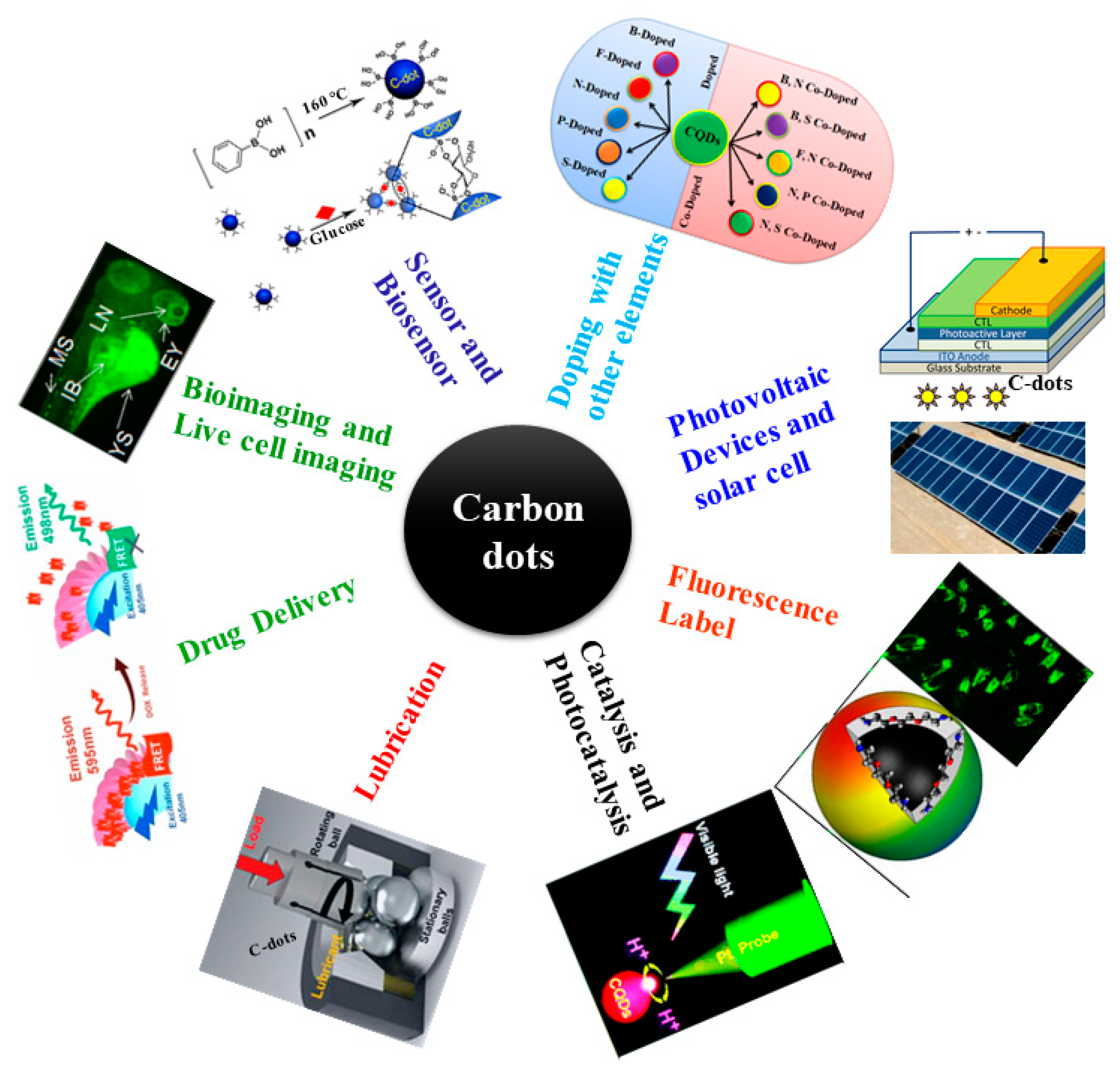 Lubricants 10 00144 g002