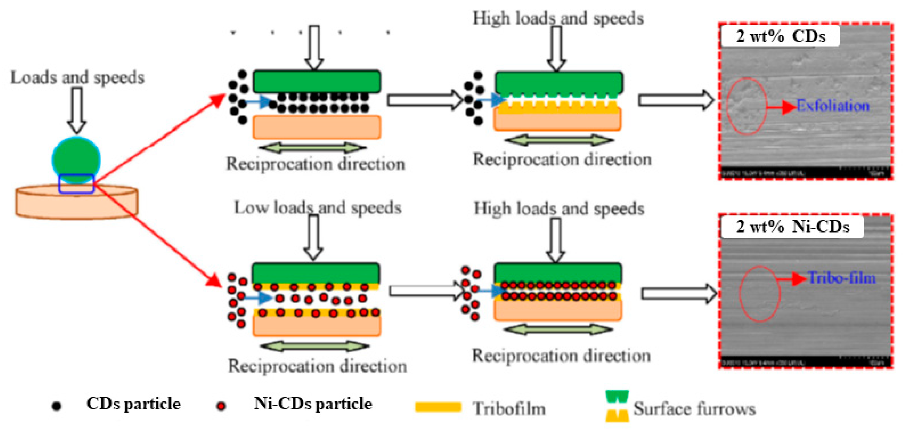 Lubricants 10 00144 g008