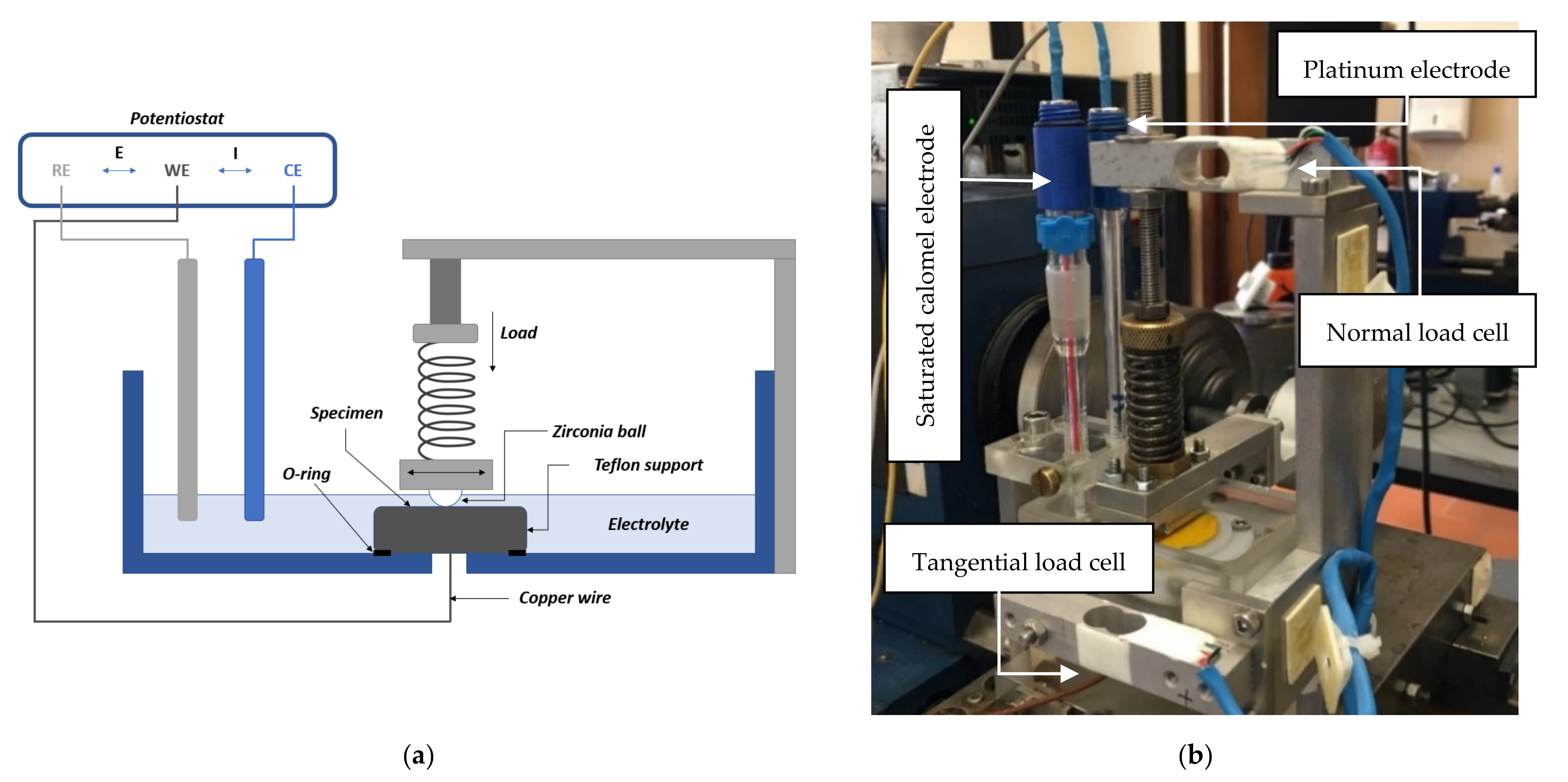 Lubricants 10 00145 g003 550