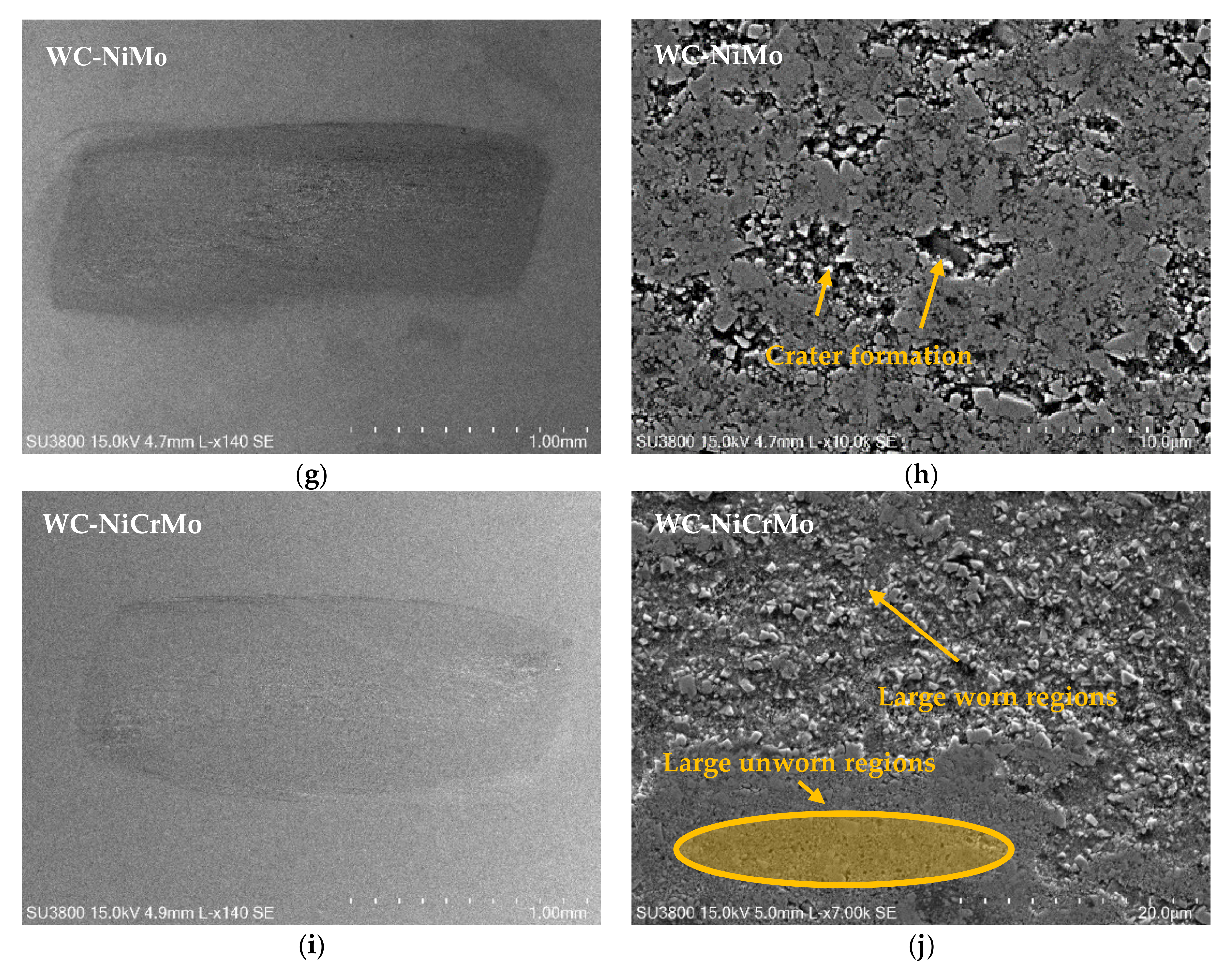 Lubricants 10 00145 g012b 550