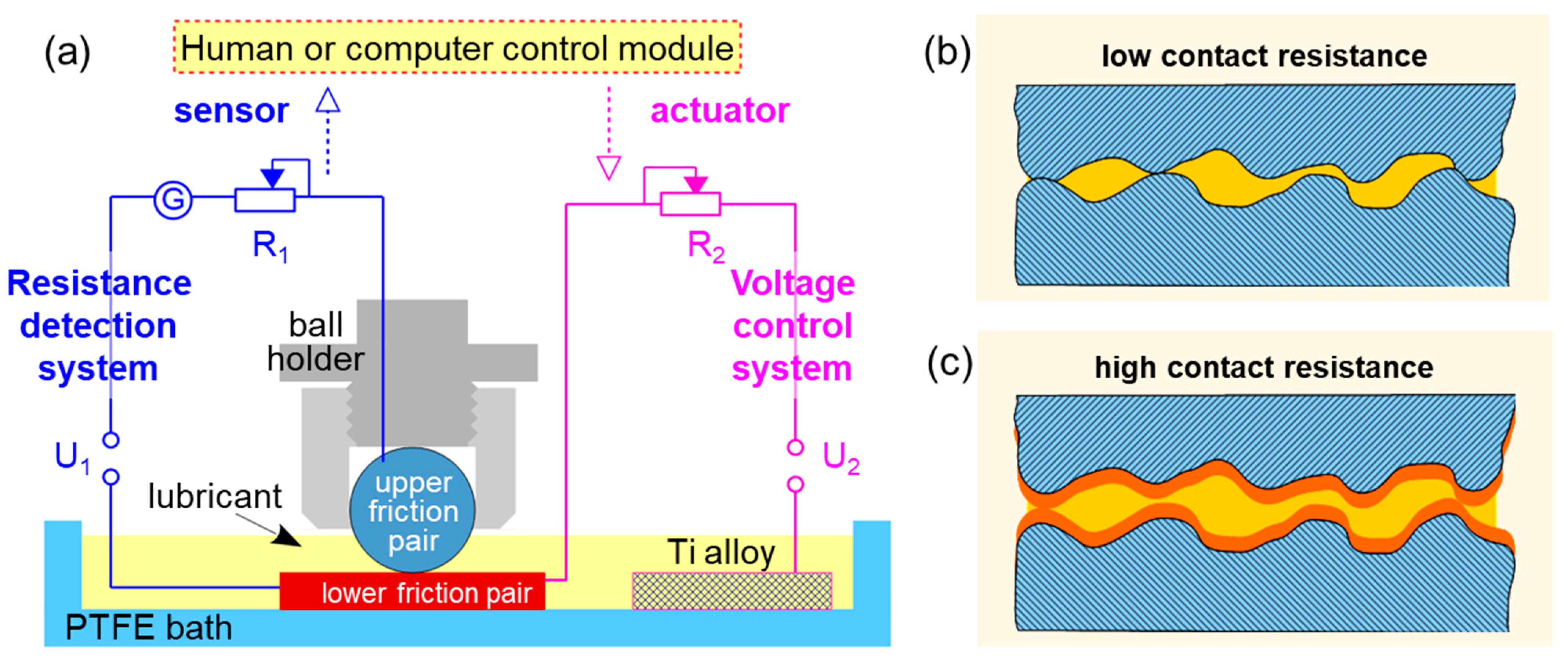 Lubricants 10 00148 g001 550