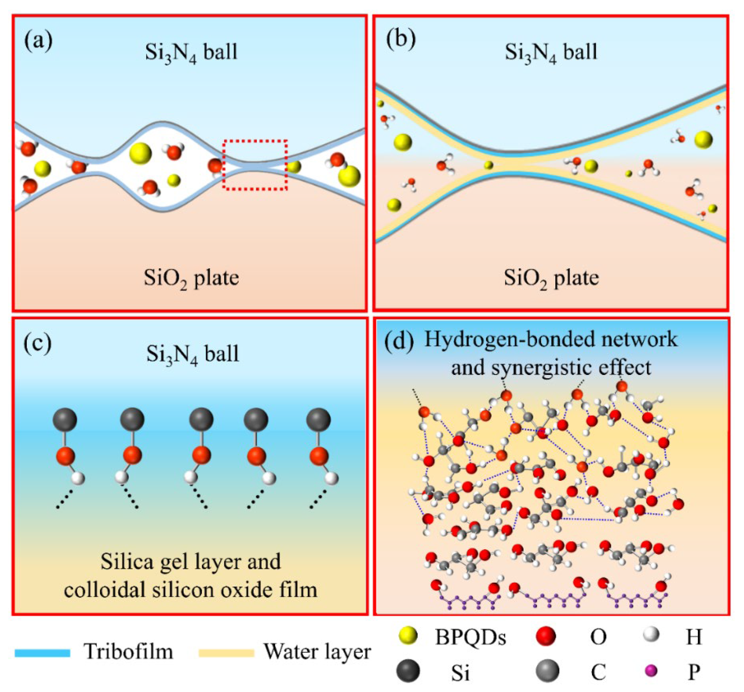 Lubricants 10 00158 g009