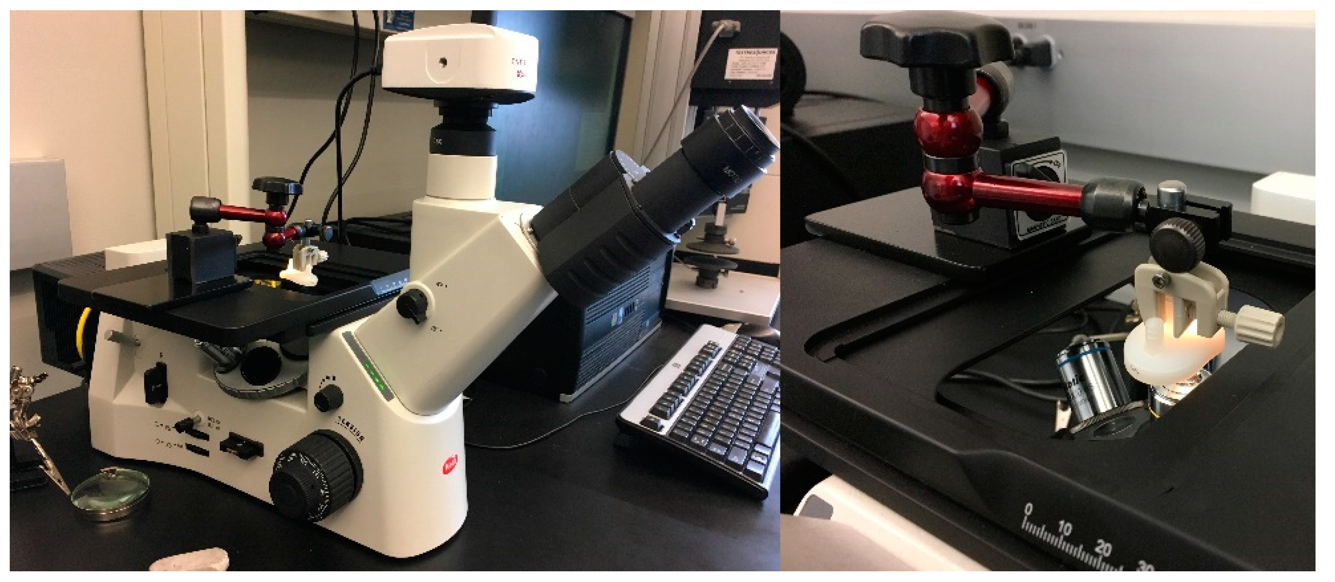 Lubricants 10 00166 g003