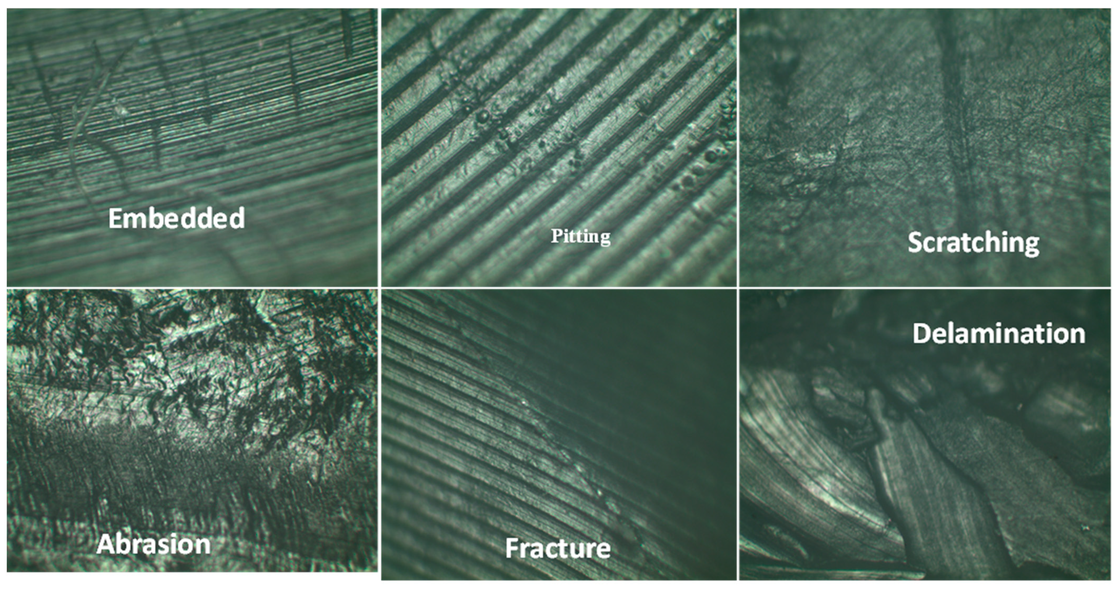 Lubricants 10 00166 g004