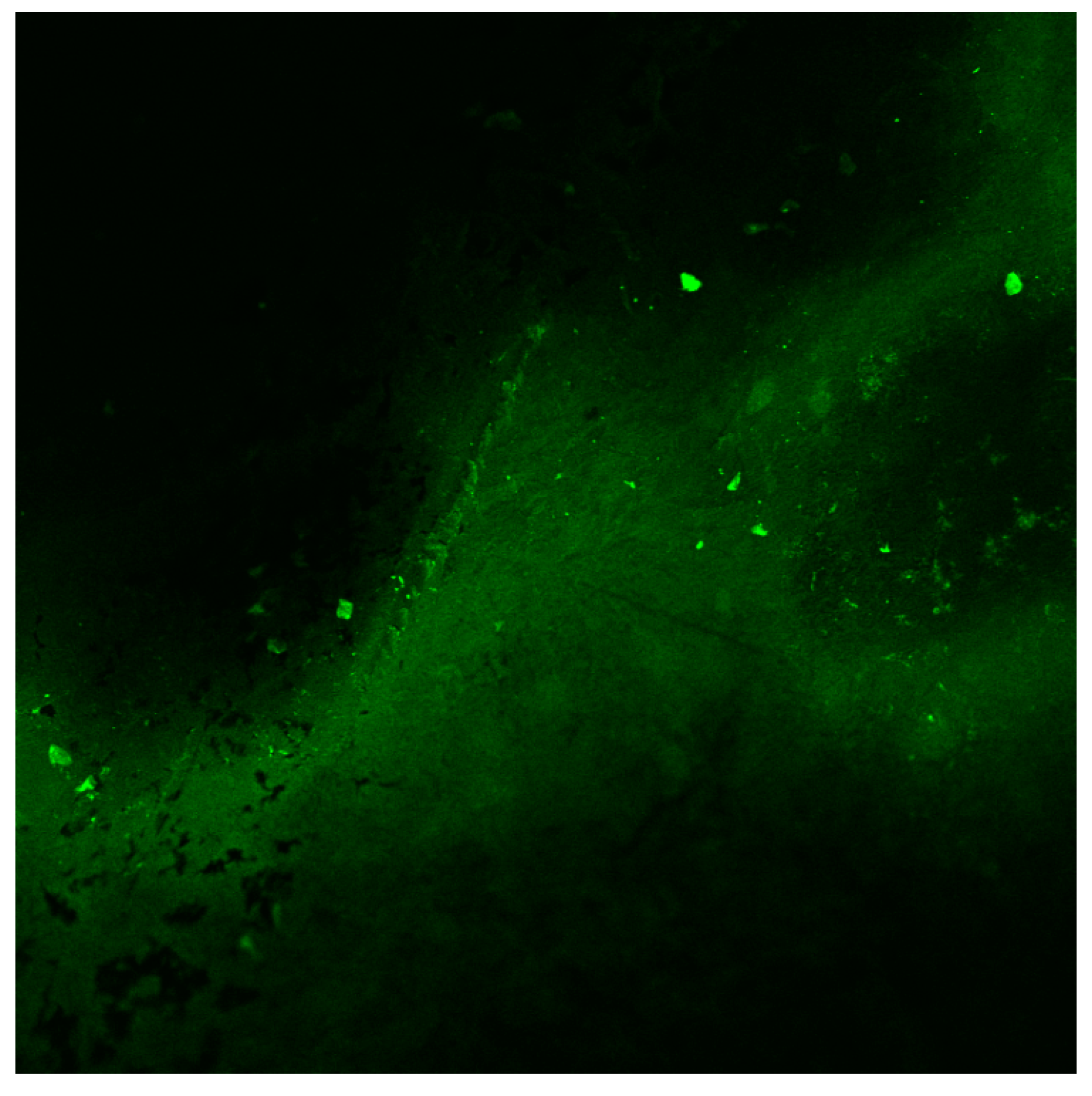 Lubricants 10 00166 g008