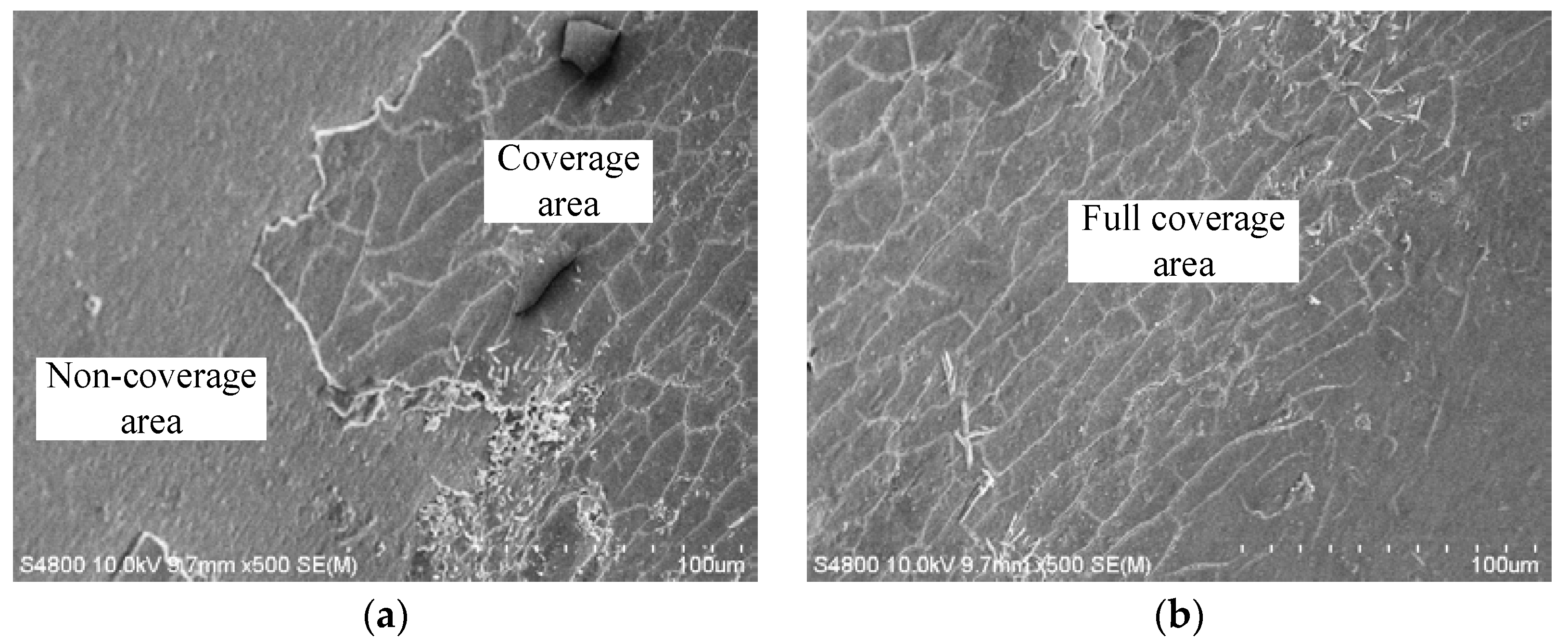 Lubricants 10 00174 g014 550