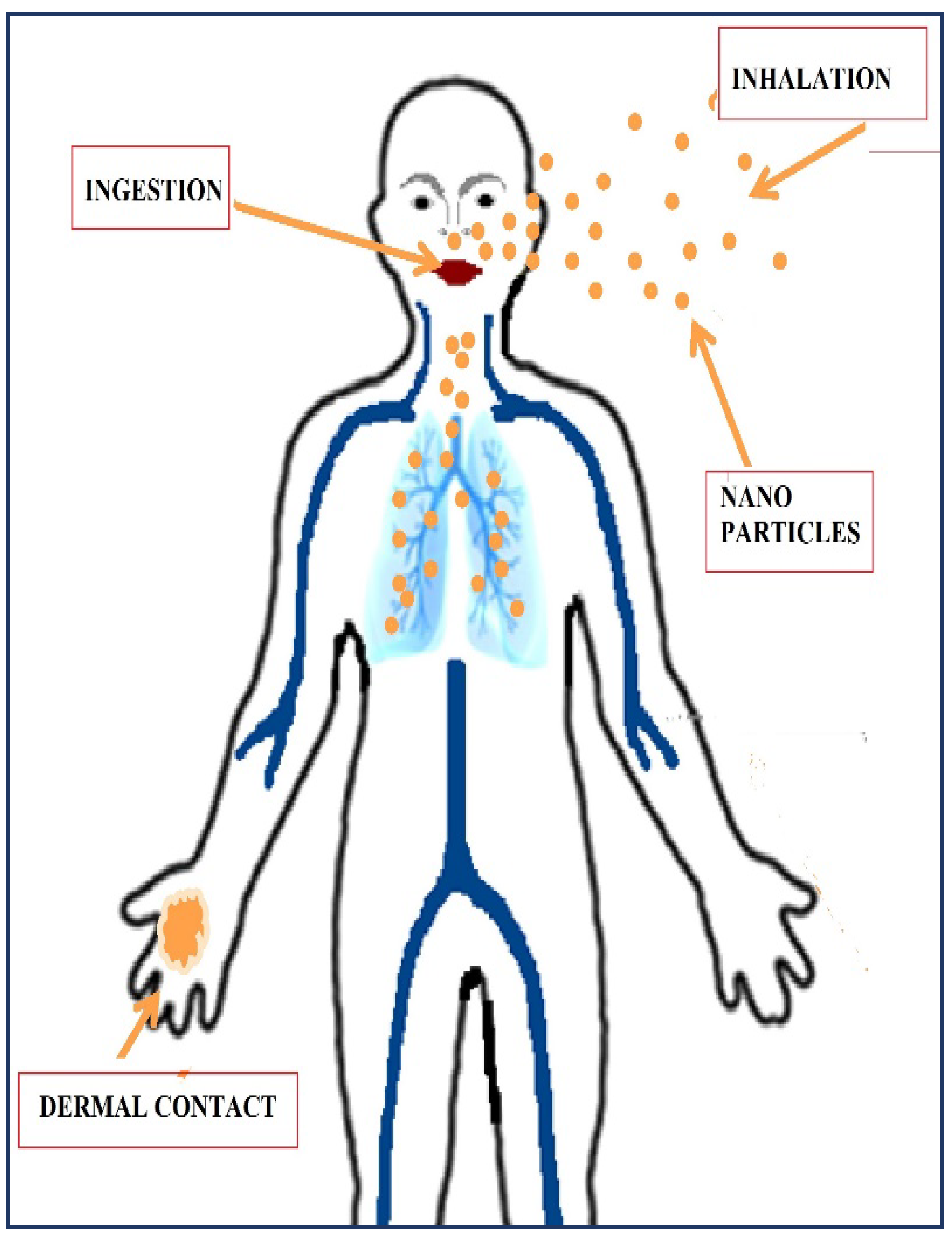 Lubricants 10 00176 g002