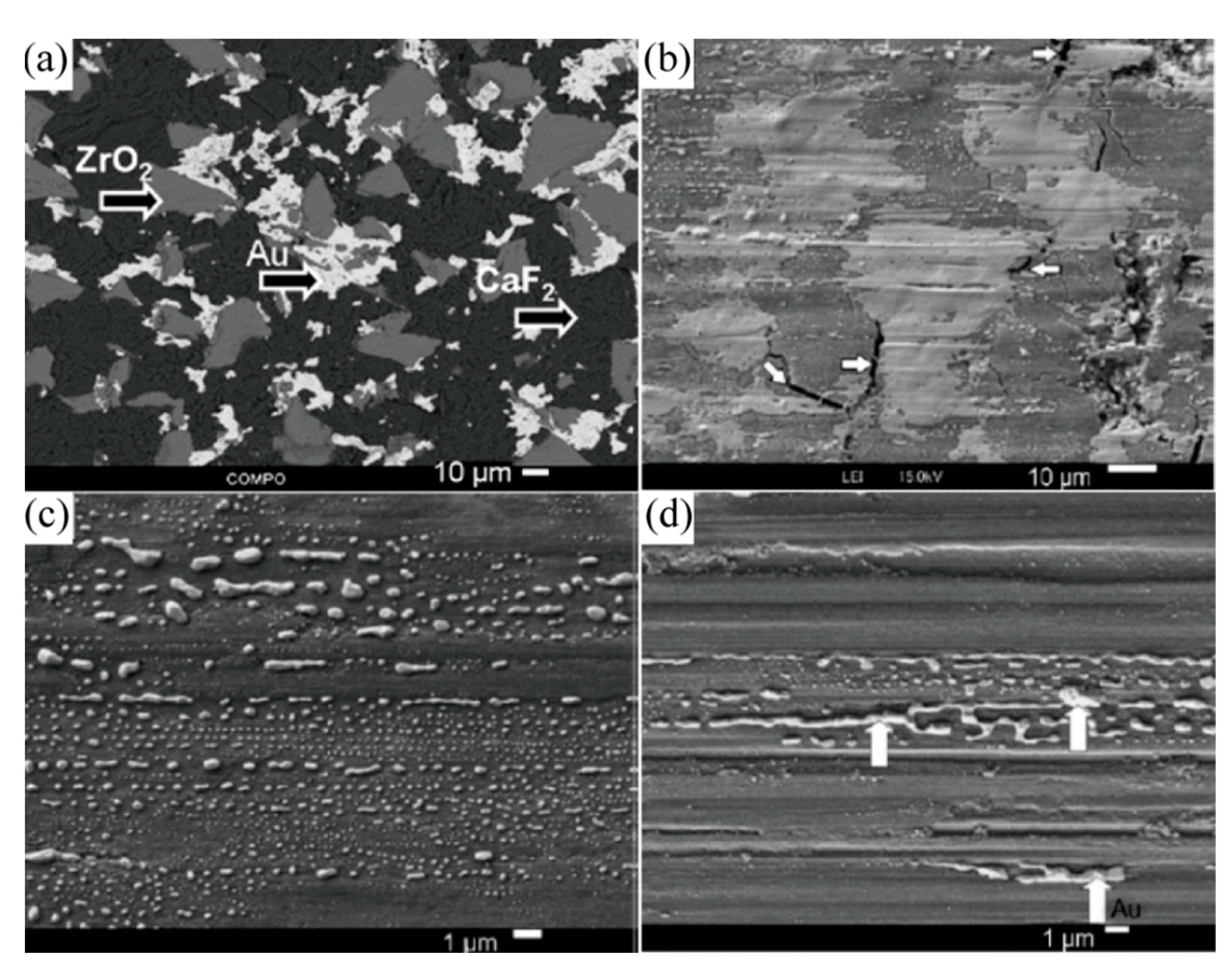 Lubricants 10 00177 g011 Lubricants 10 00177 g011