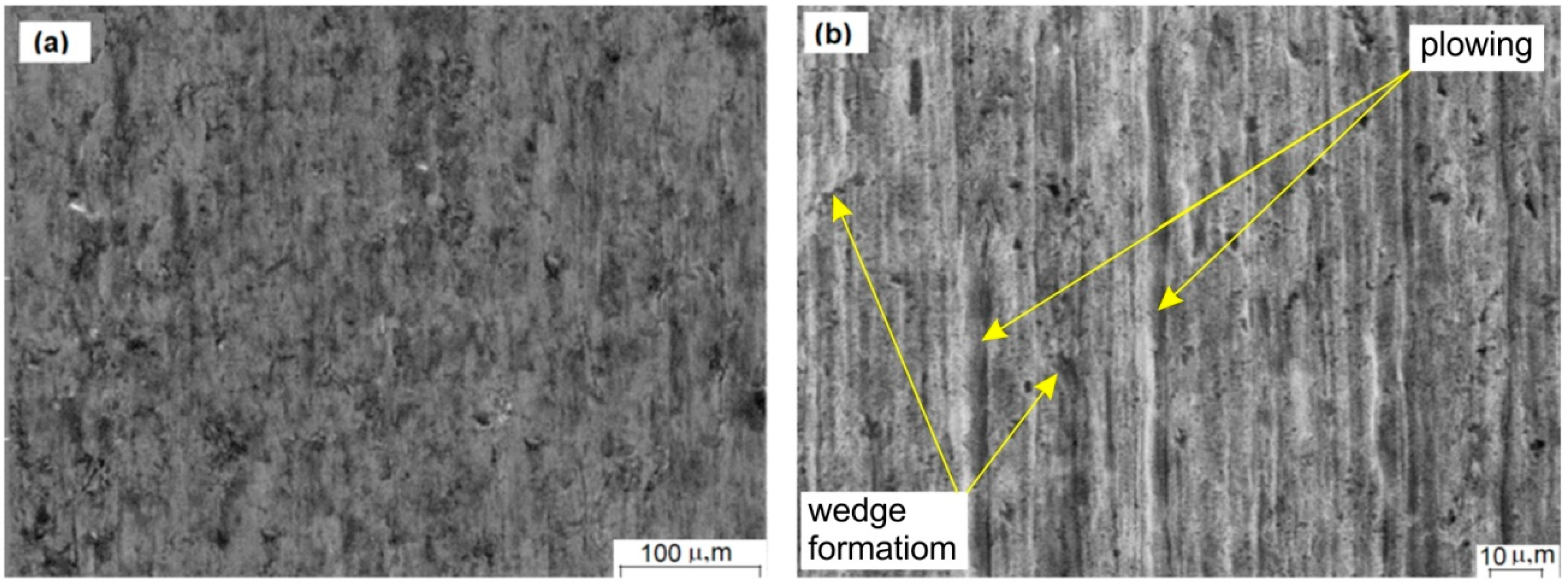 Lubricants 10 00187 g010 Lubricants 10 00187 g010
