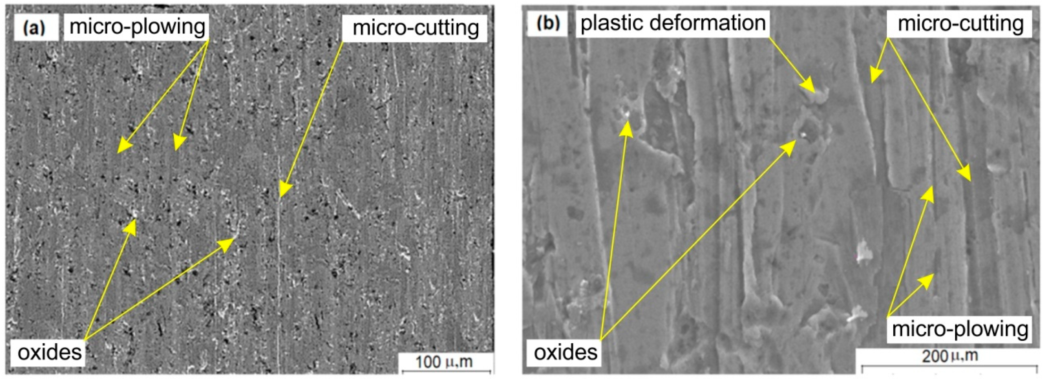 Lubricants 10 00187 g011 Lubricants 10 00187 g011