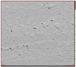 Lubricants 10 00187 i002 Lubricants 10 00187 i002