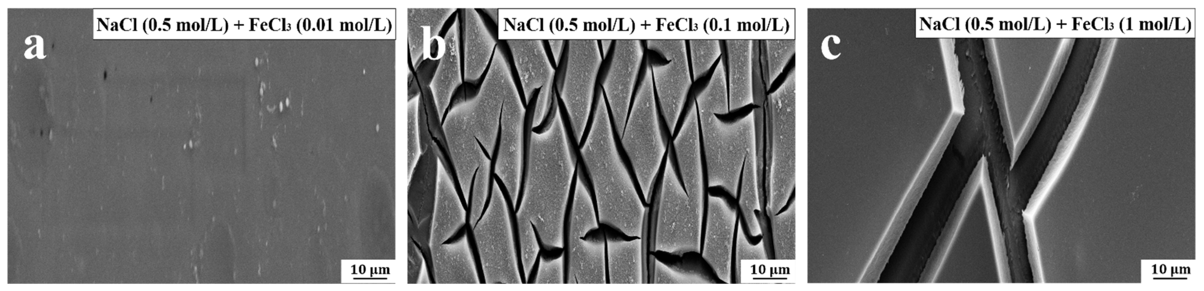 Lubricants 10 00191 g008 550