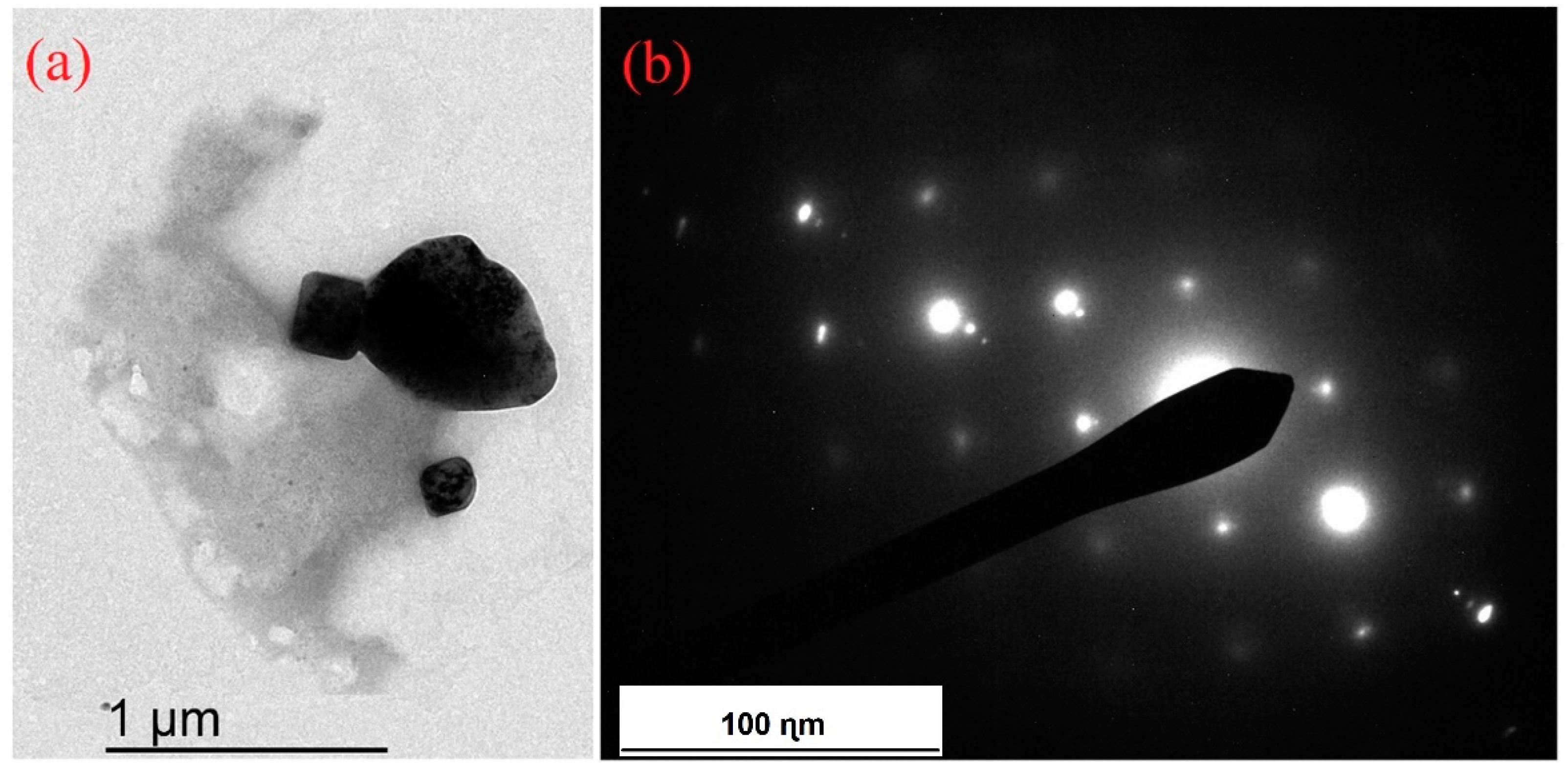 Lubricants 10 00193 g003