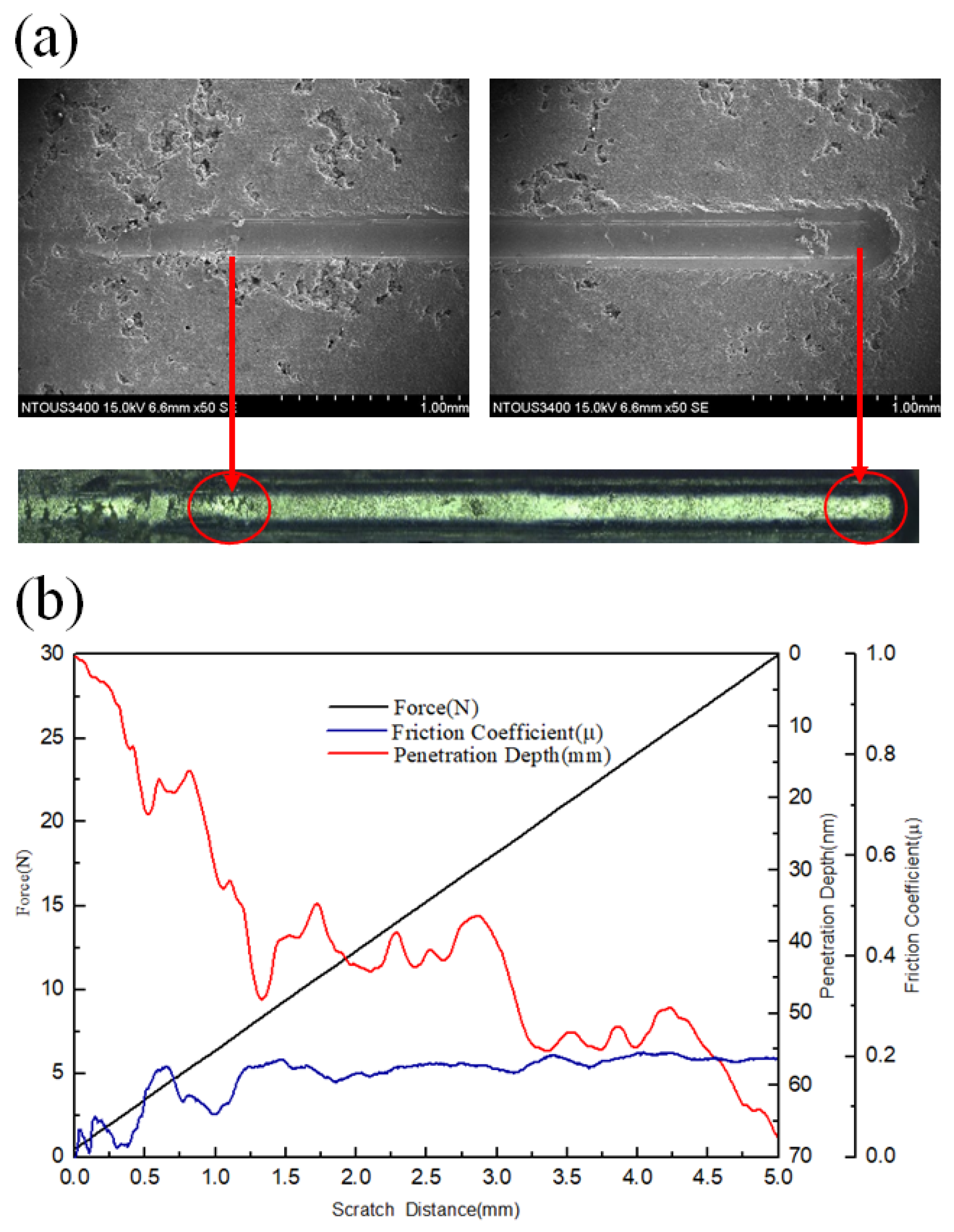 Lubricants 10 00197 g004 550