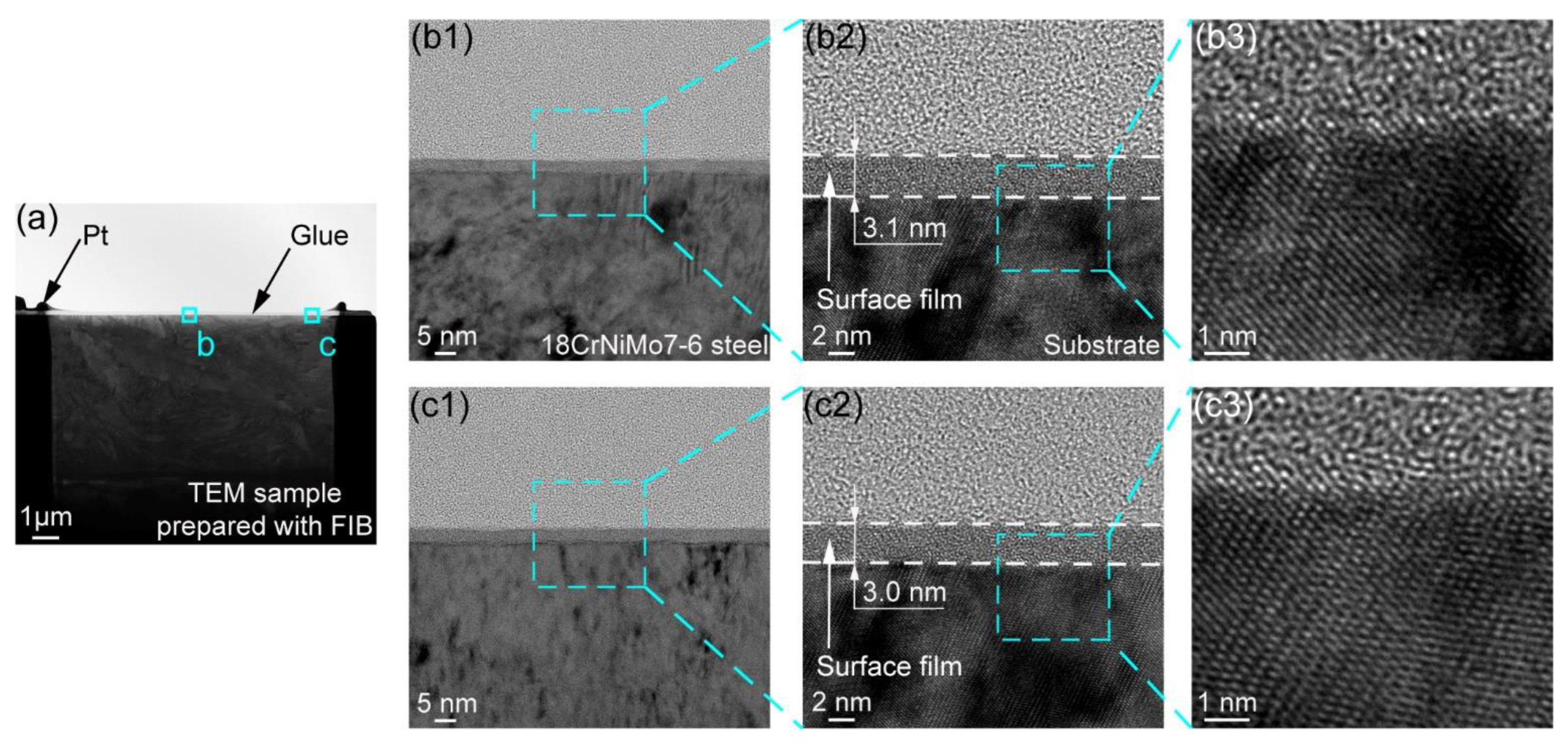 Lubricants 10 00199 g008 550
