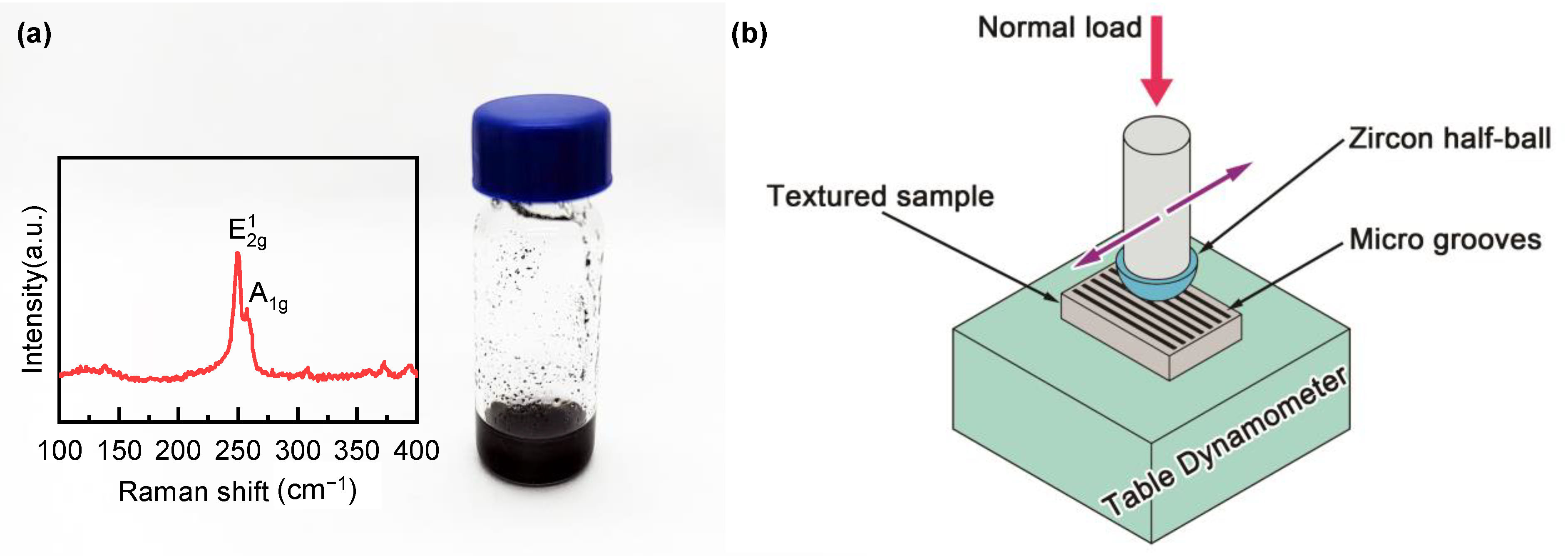Lubricants 10 00208 g003