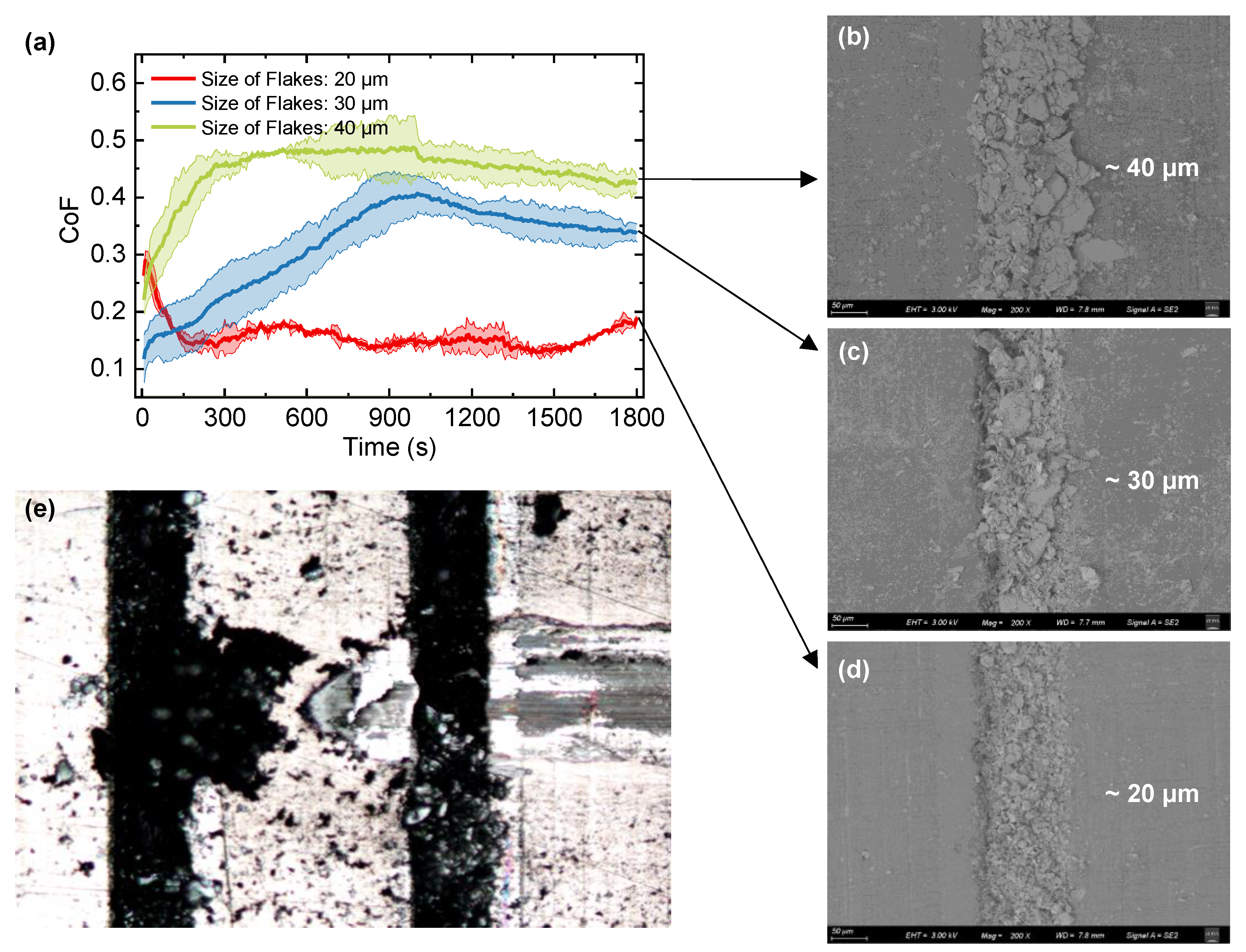 Lubricants 10 00208 g006
