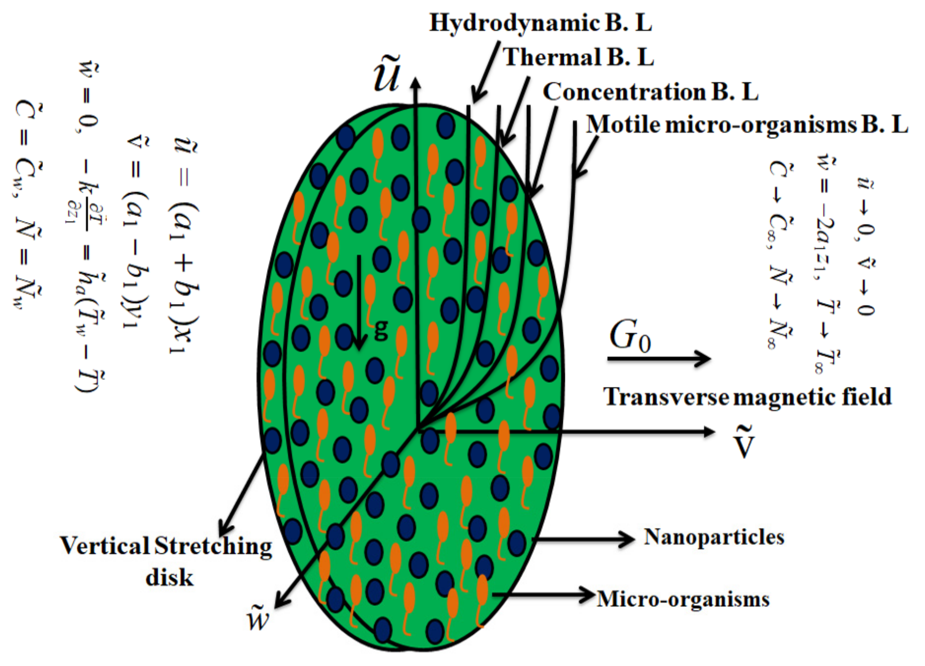 Lubricants 10 00209 g001