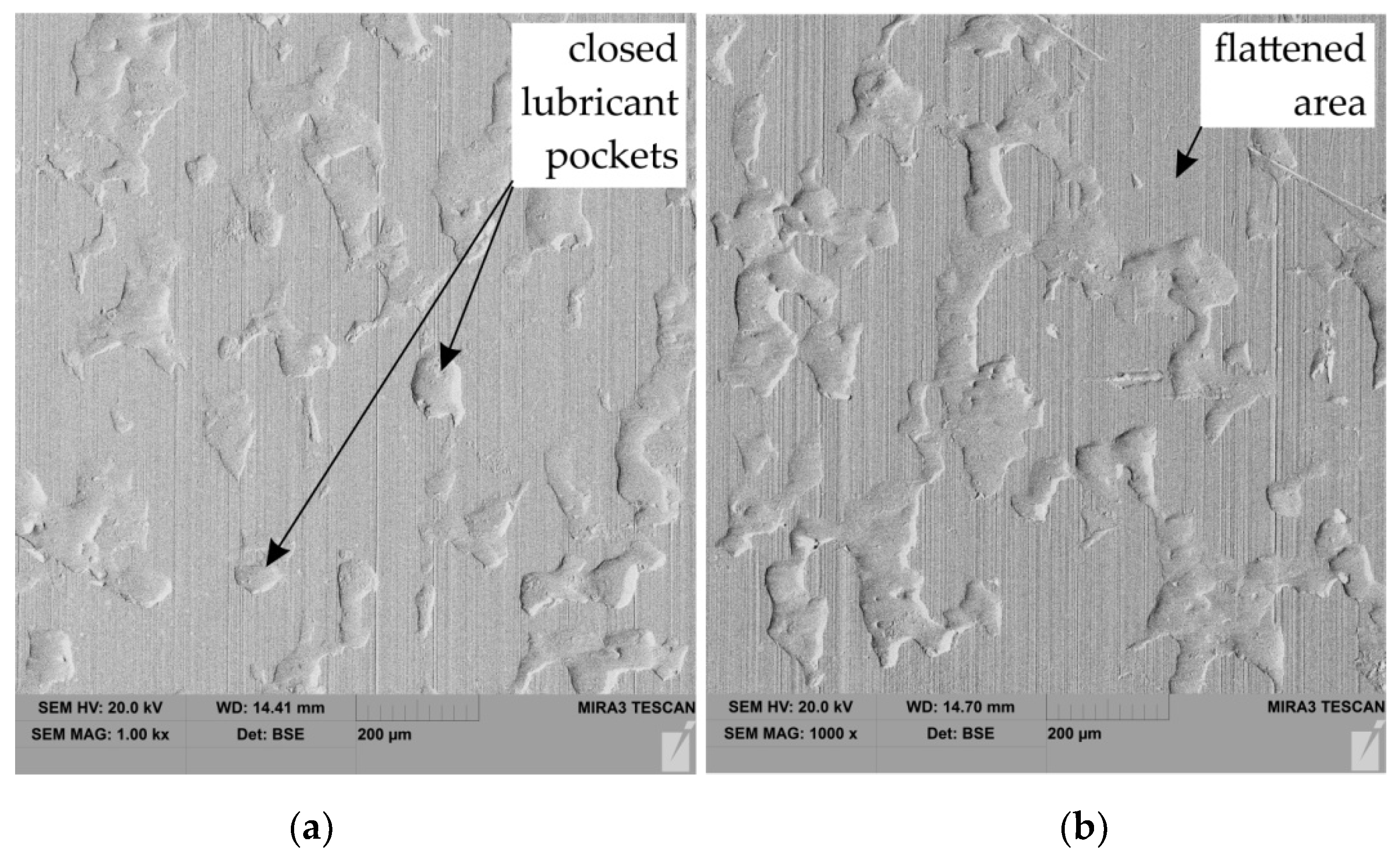 Lubricants 10 00210 g008a Lubricants 10 00210 g008a