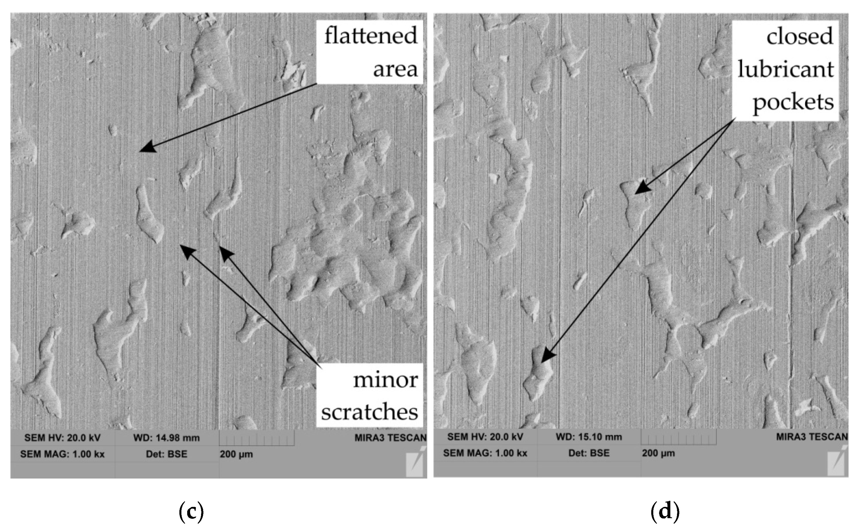 Lubricants 10 00210 g008b Lubricants 10 00210 g008b