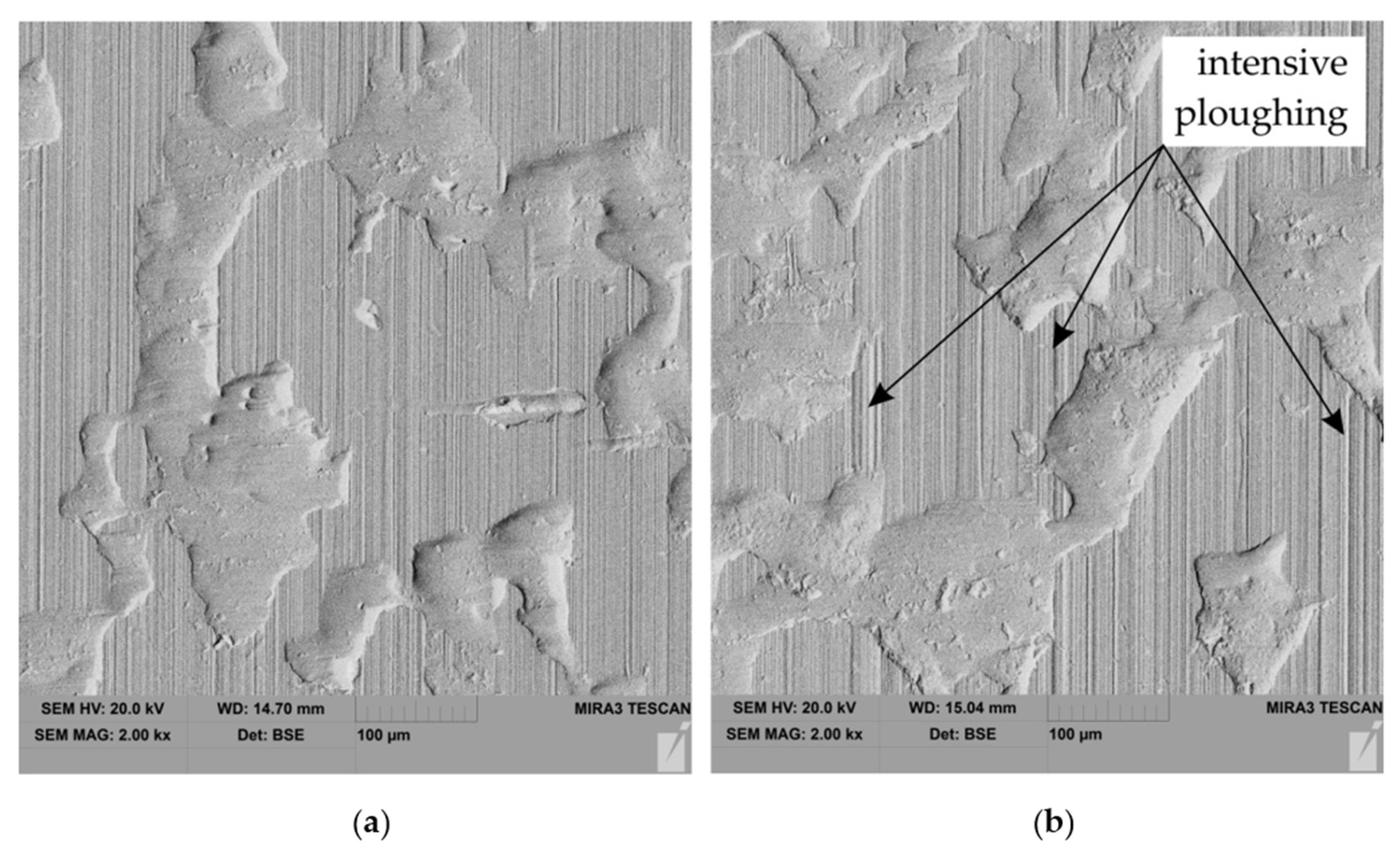Lubricants 10 00210 g014 Lubricants 10 00210 g014