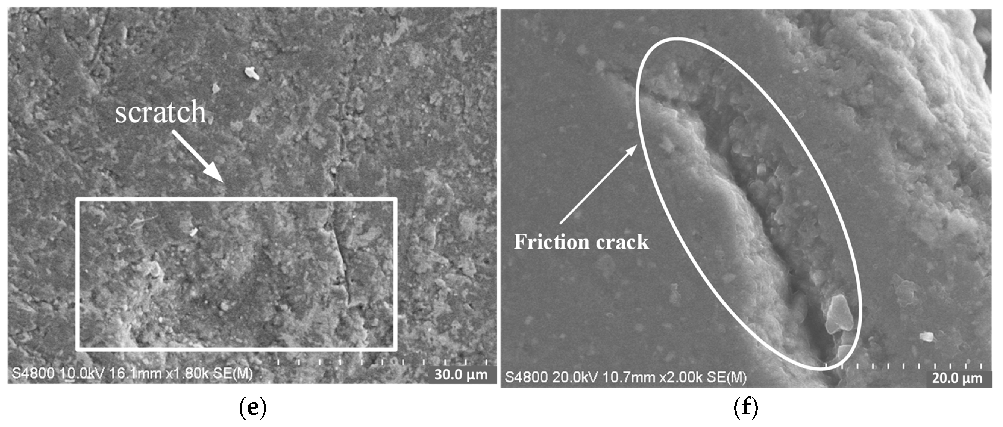 Lubricants 10 00213 g008b 550