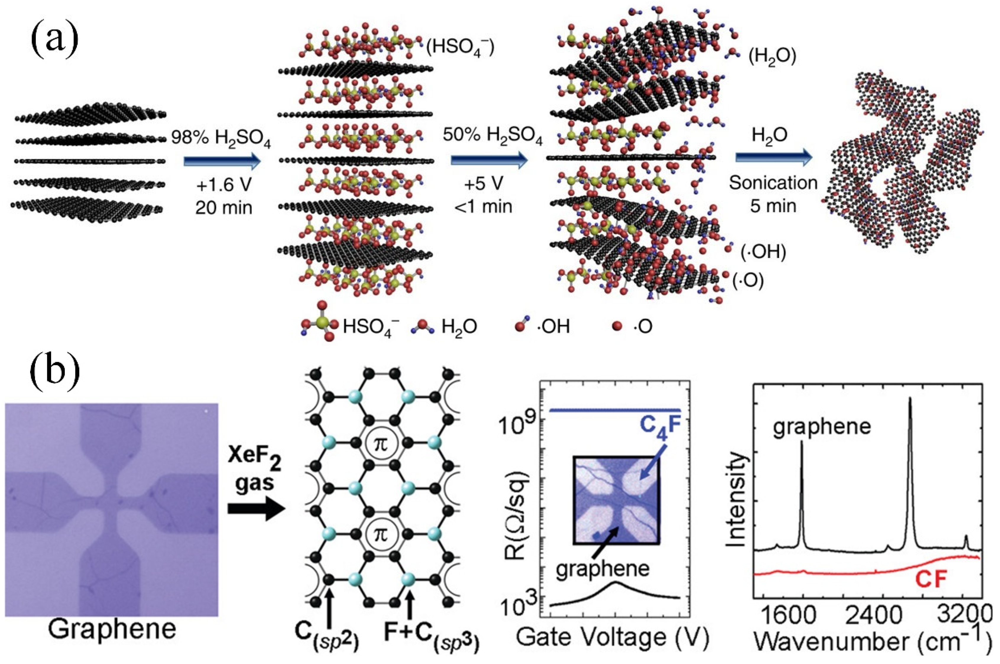 Lubricants 10 00215 g001
