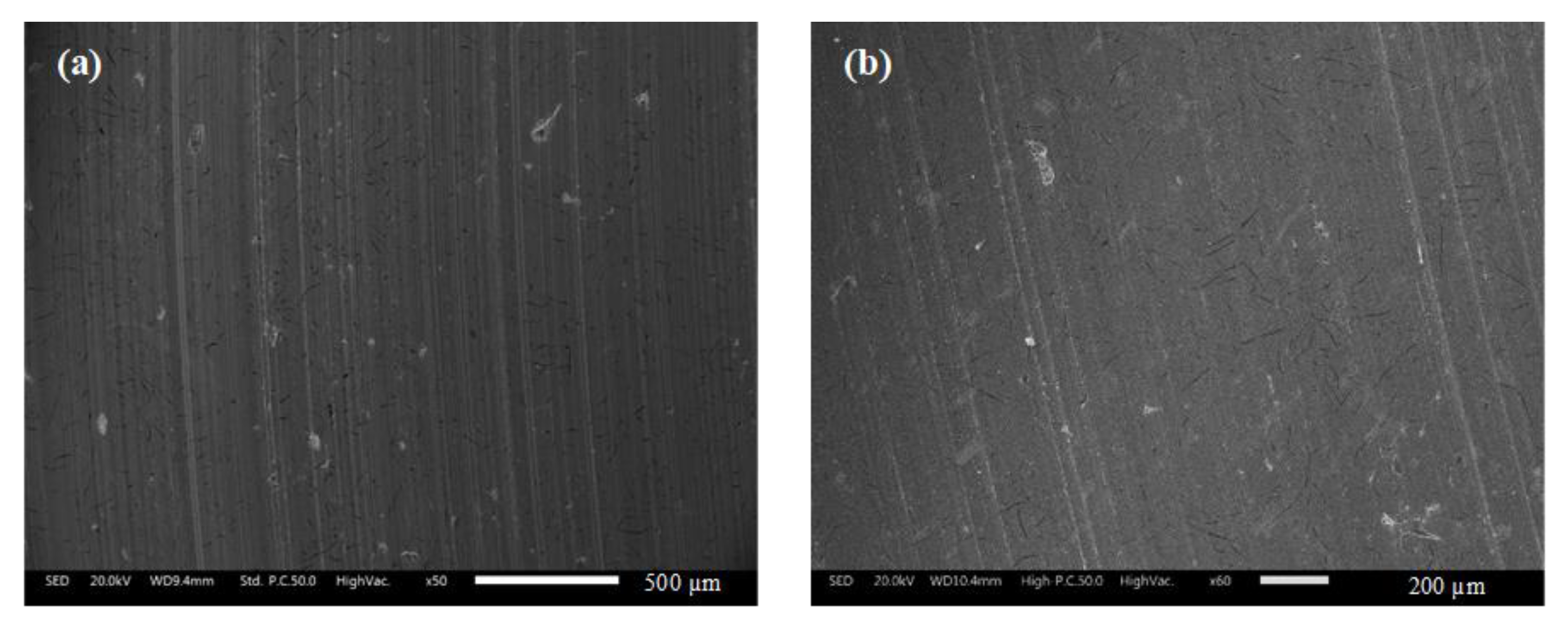 Lubricants 10 00219 g012 550