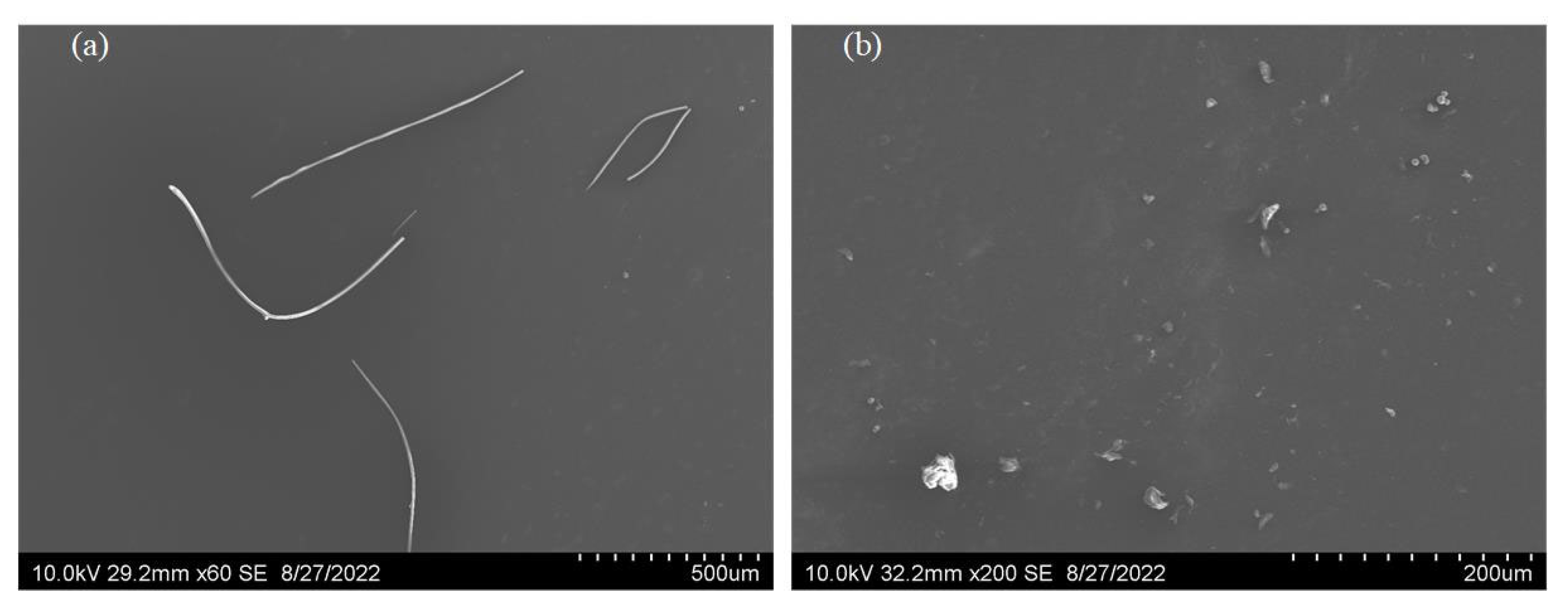 Lubricants 10 00220 g001 550