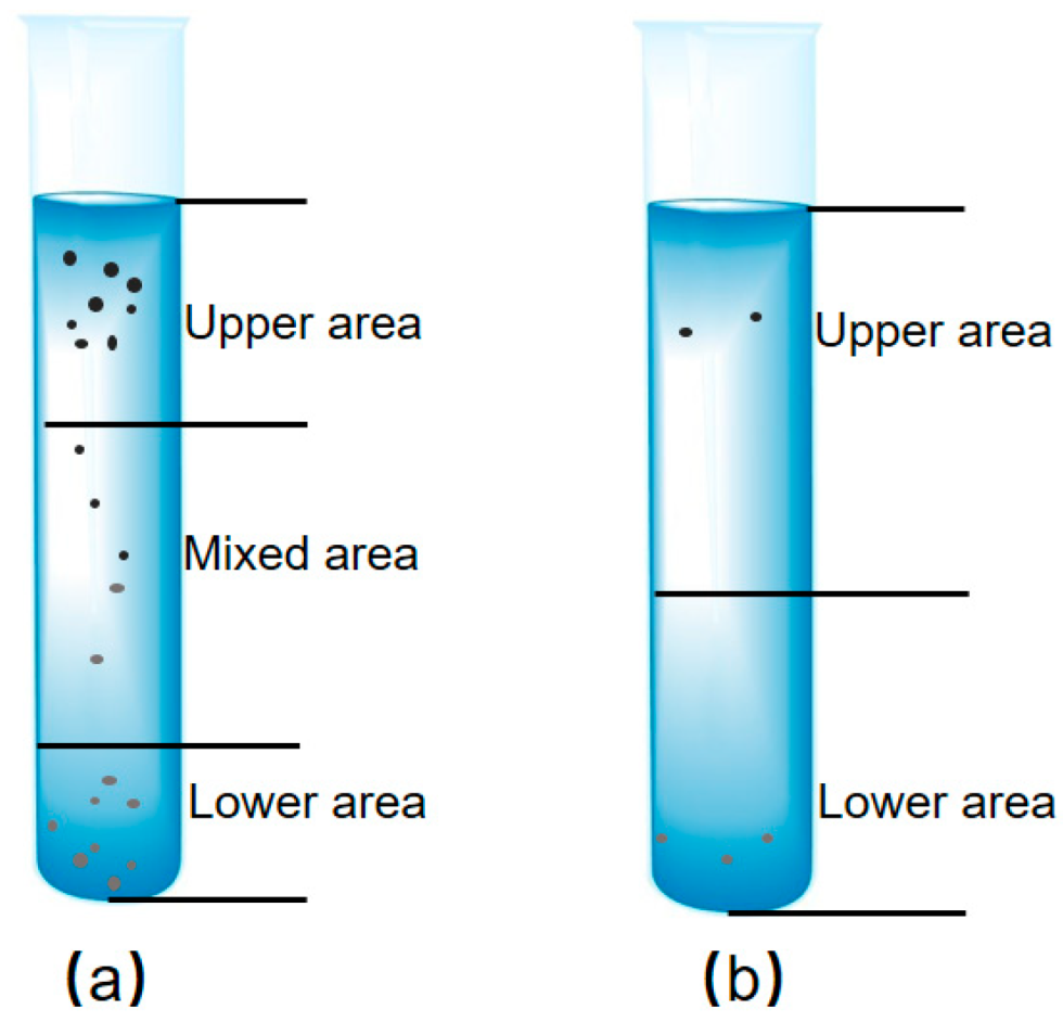 Lubricants 10 00226 g004