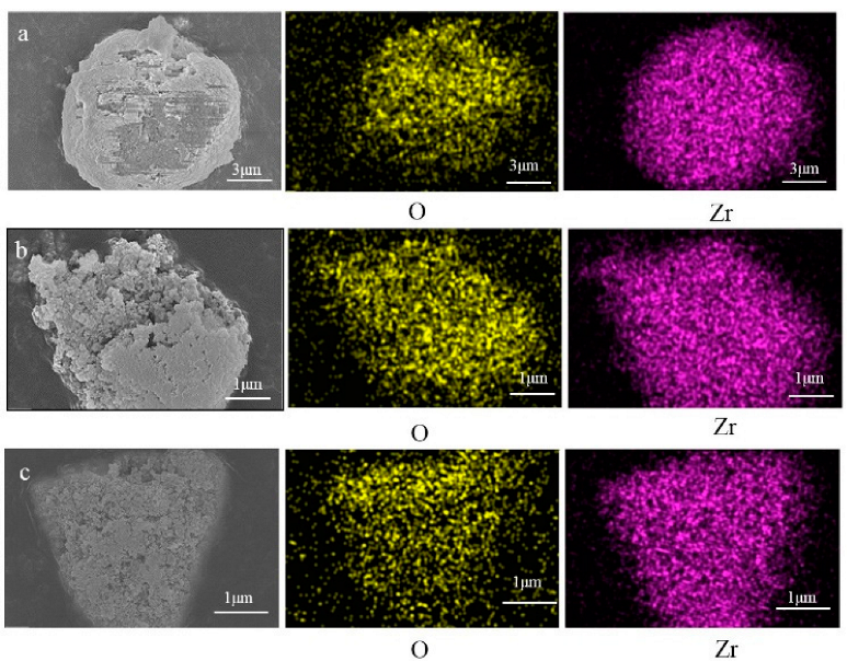 Lubricants 10 00226 g012